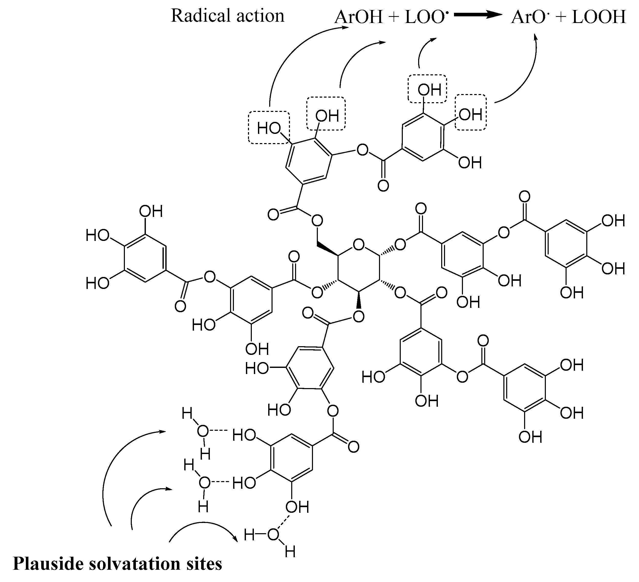 Biomolecules 10 00439 g001