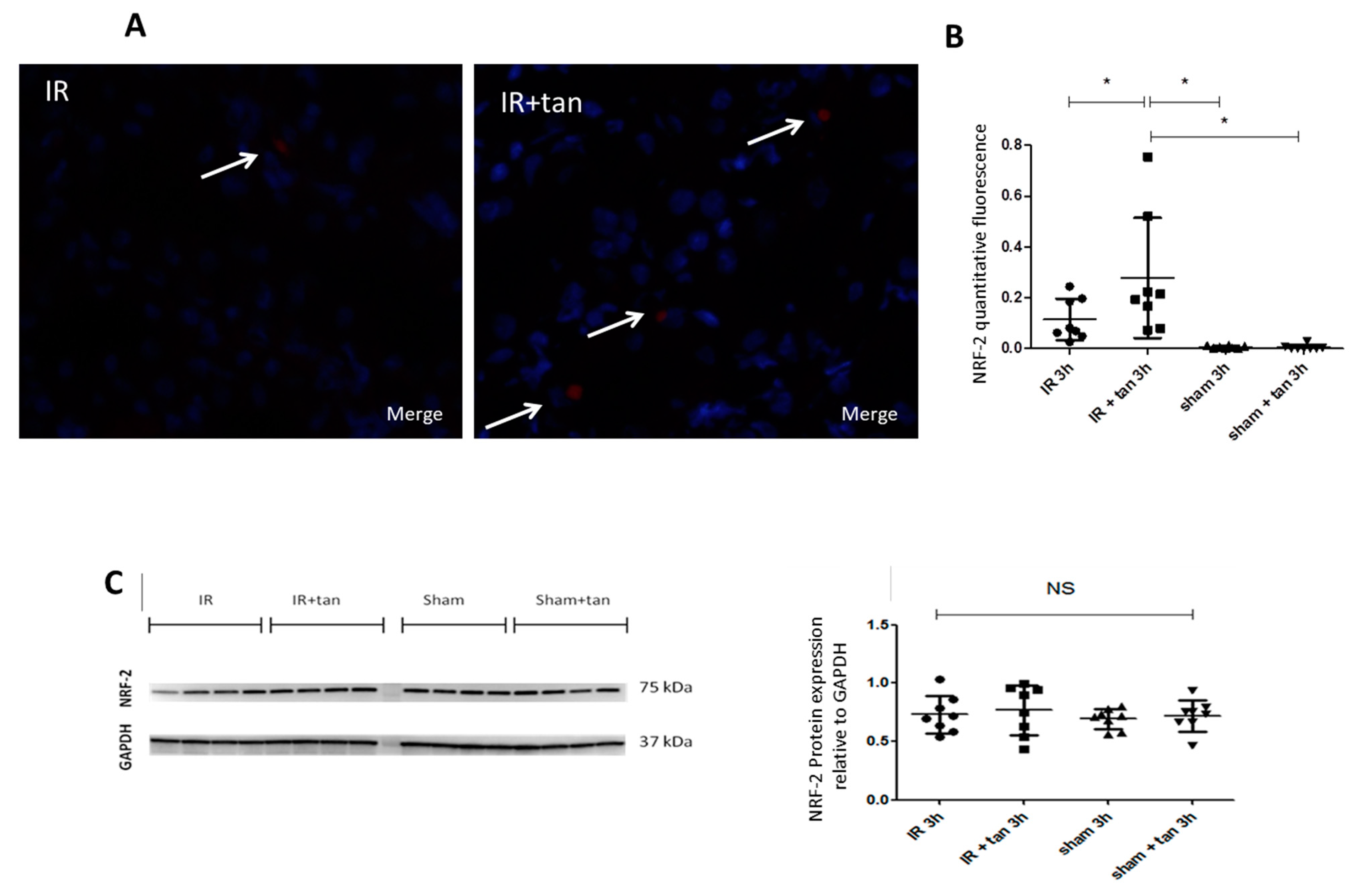 Biomolecules 10 00439 g007