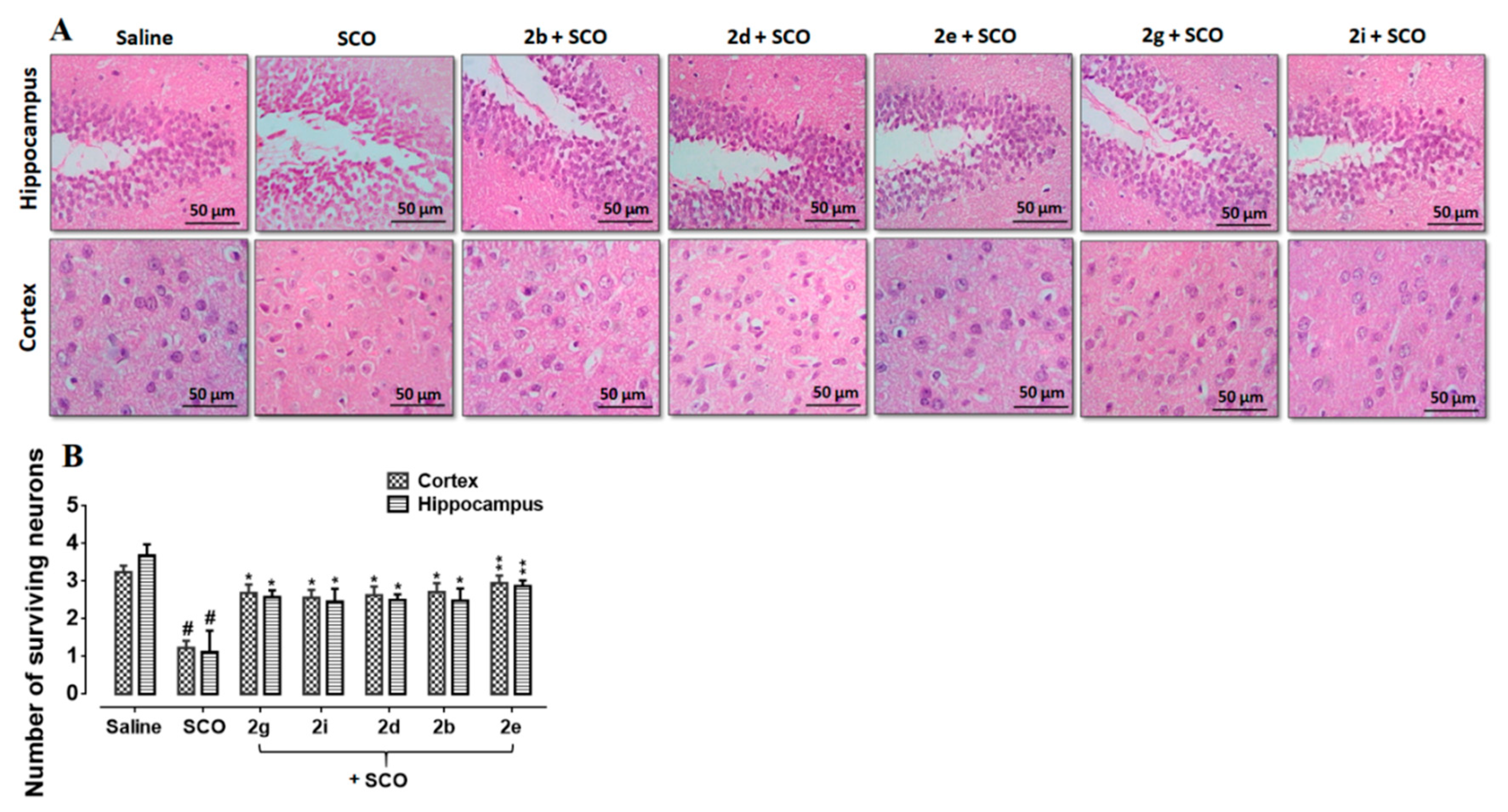 Biomolecules 10 00443 g006