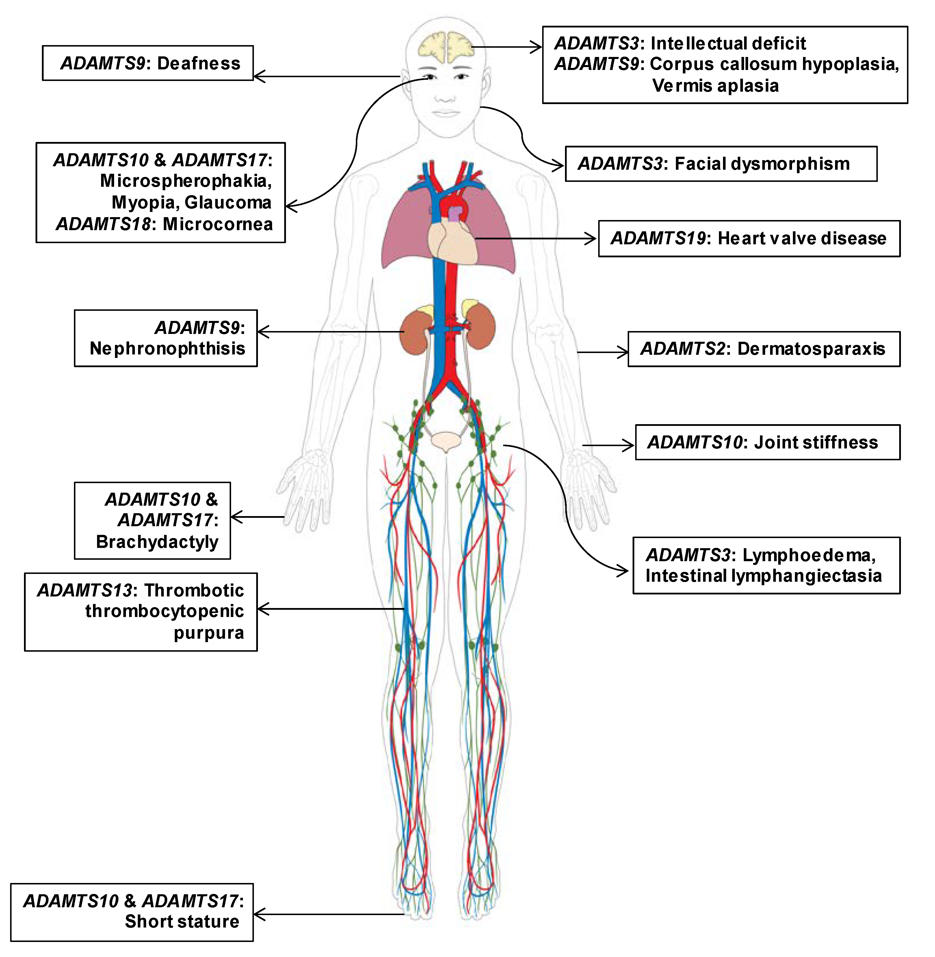 Biomolecules 10 00449 g002 Biomolecules 10 00449 g002