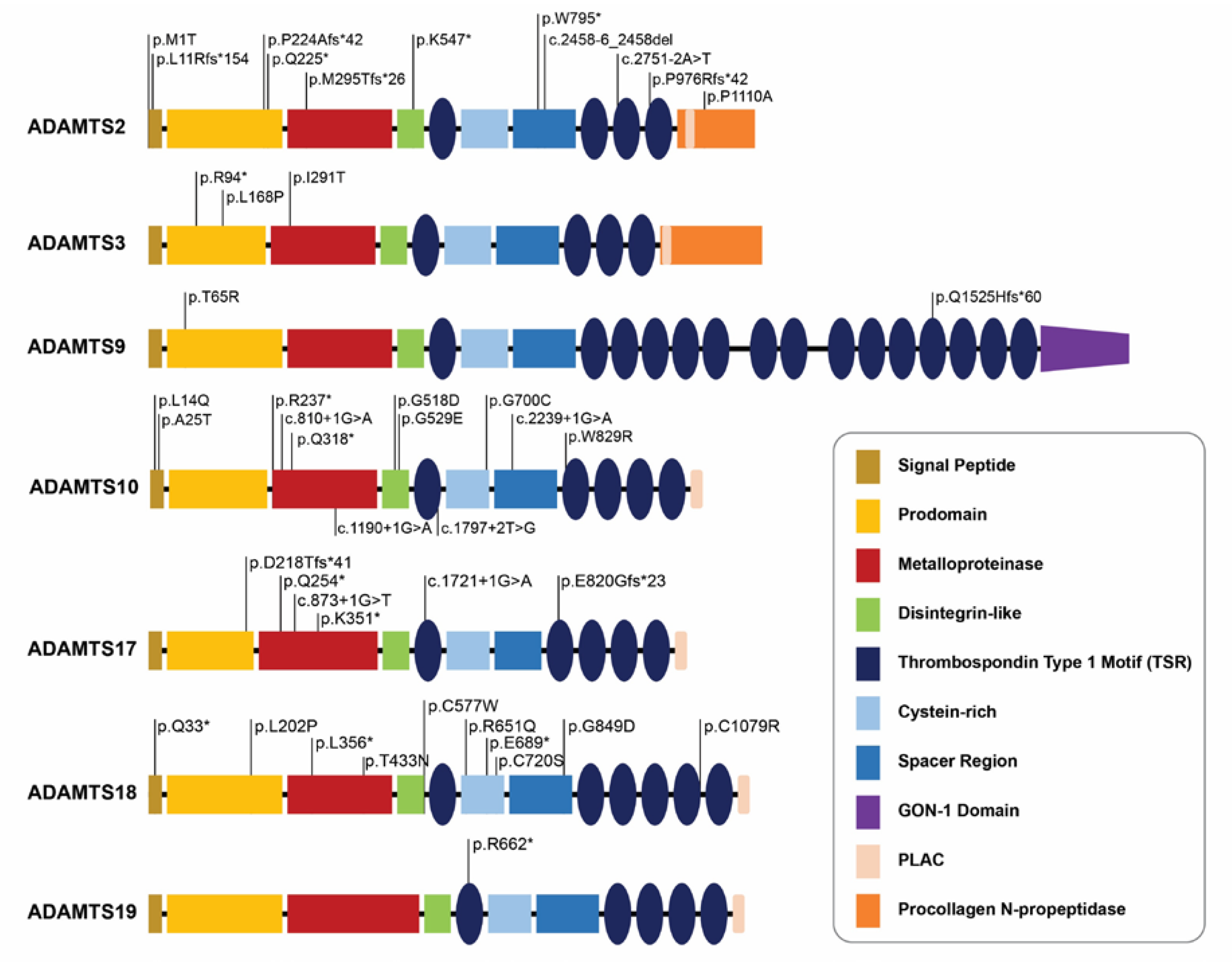 Biomolecules 10 00449 g003 Biomolecules 10 00449 g003