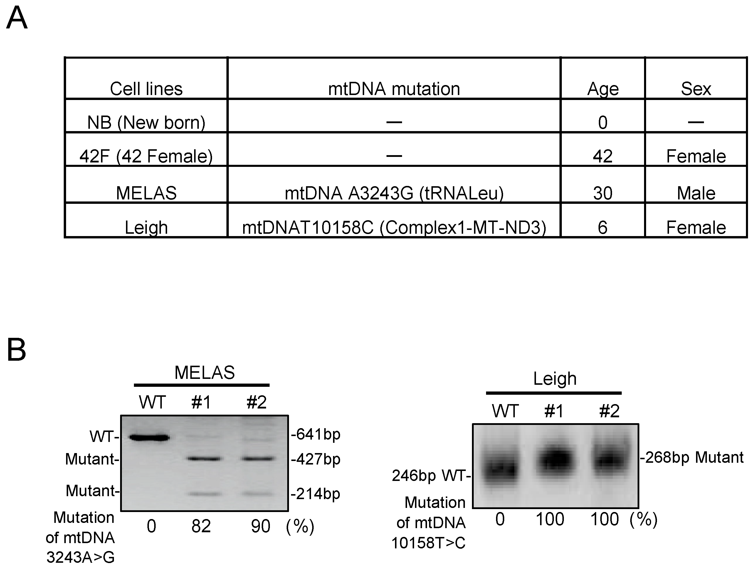 Biomolecules 10 00450 g001 Biomolecules 10 00450 g001