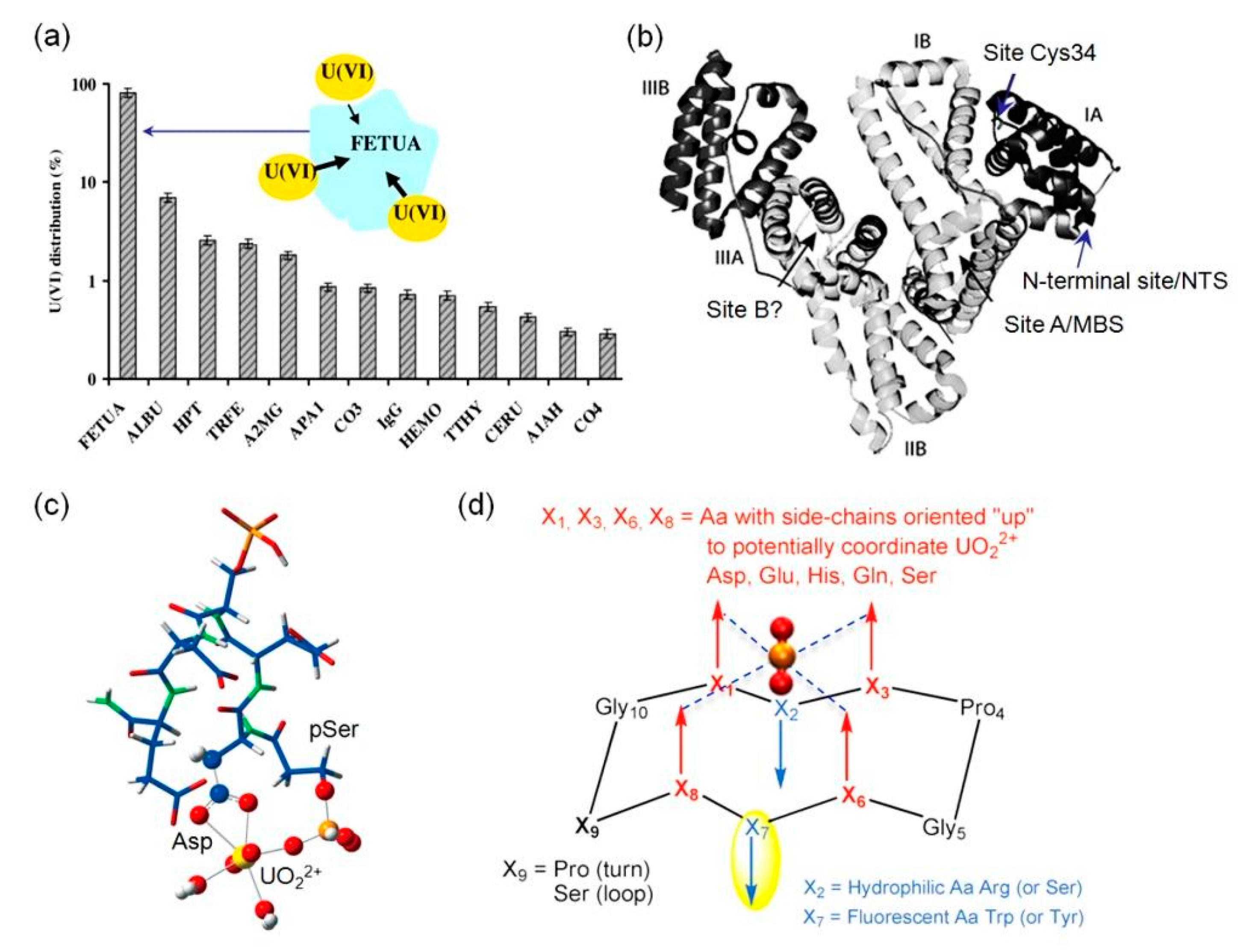 Biomolecules 10 00457 g001 Biomolecules 10 00457 g001