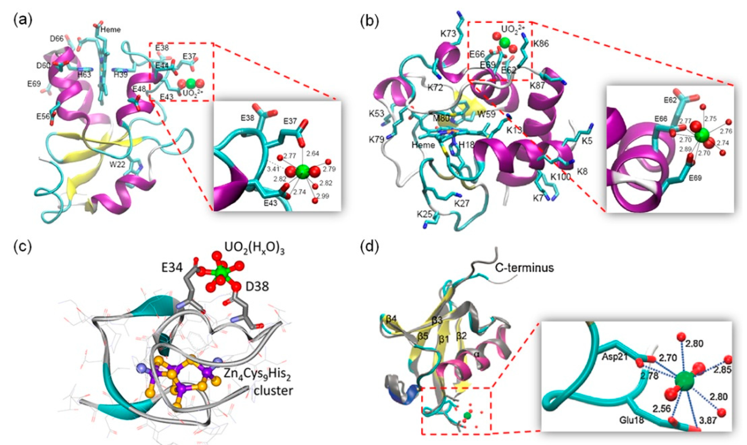 Biomolecules 10 00457 g002 Biomolecules 10 00457 g002