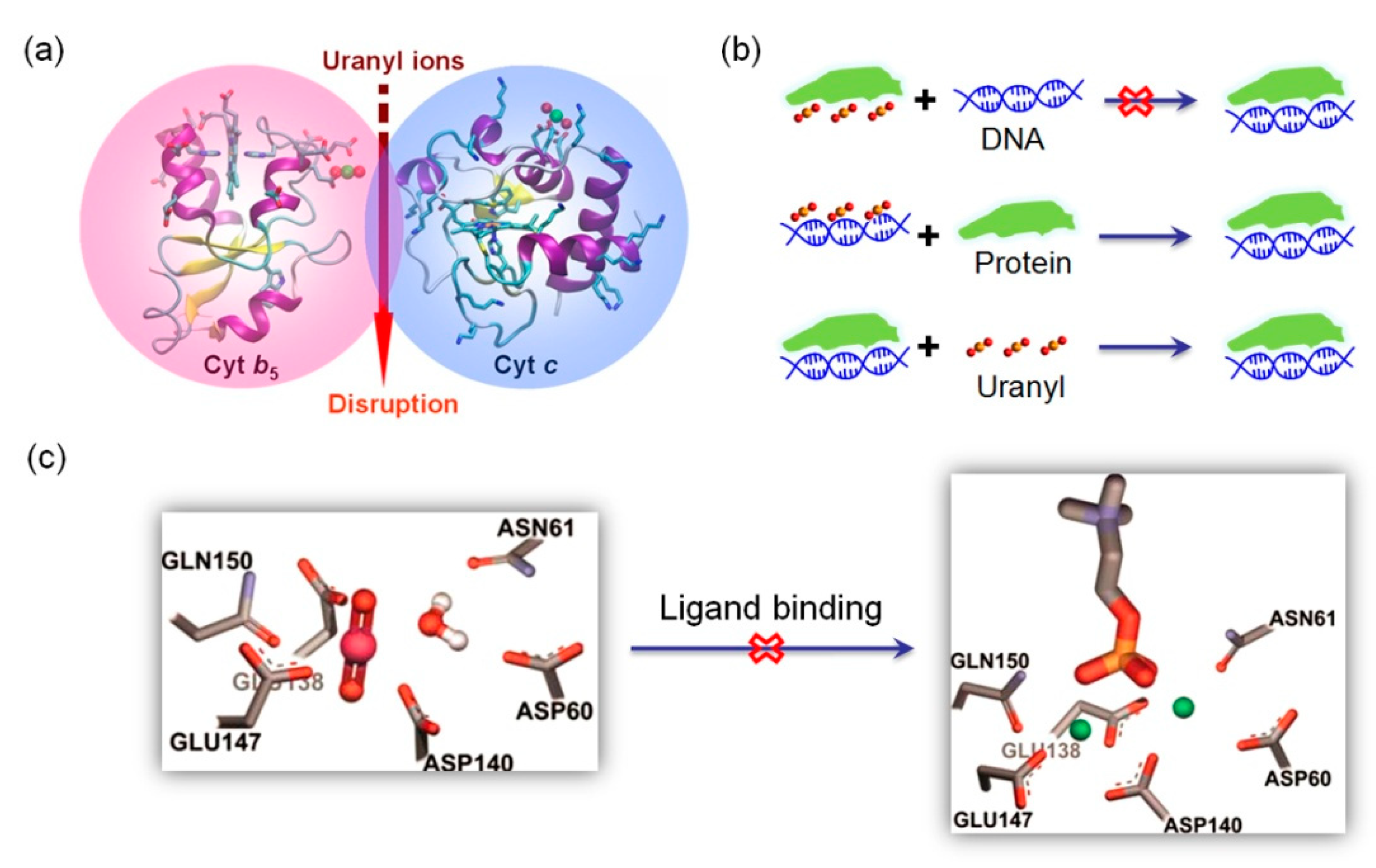 Biomolecules 10 00457 g006 Biomolecules 10 00457 g006