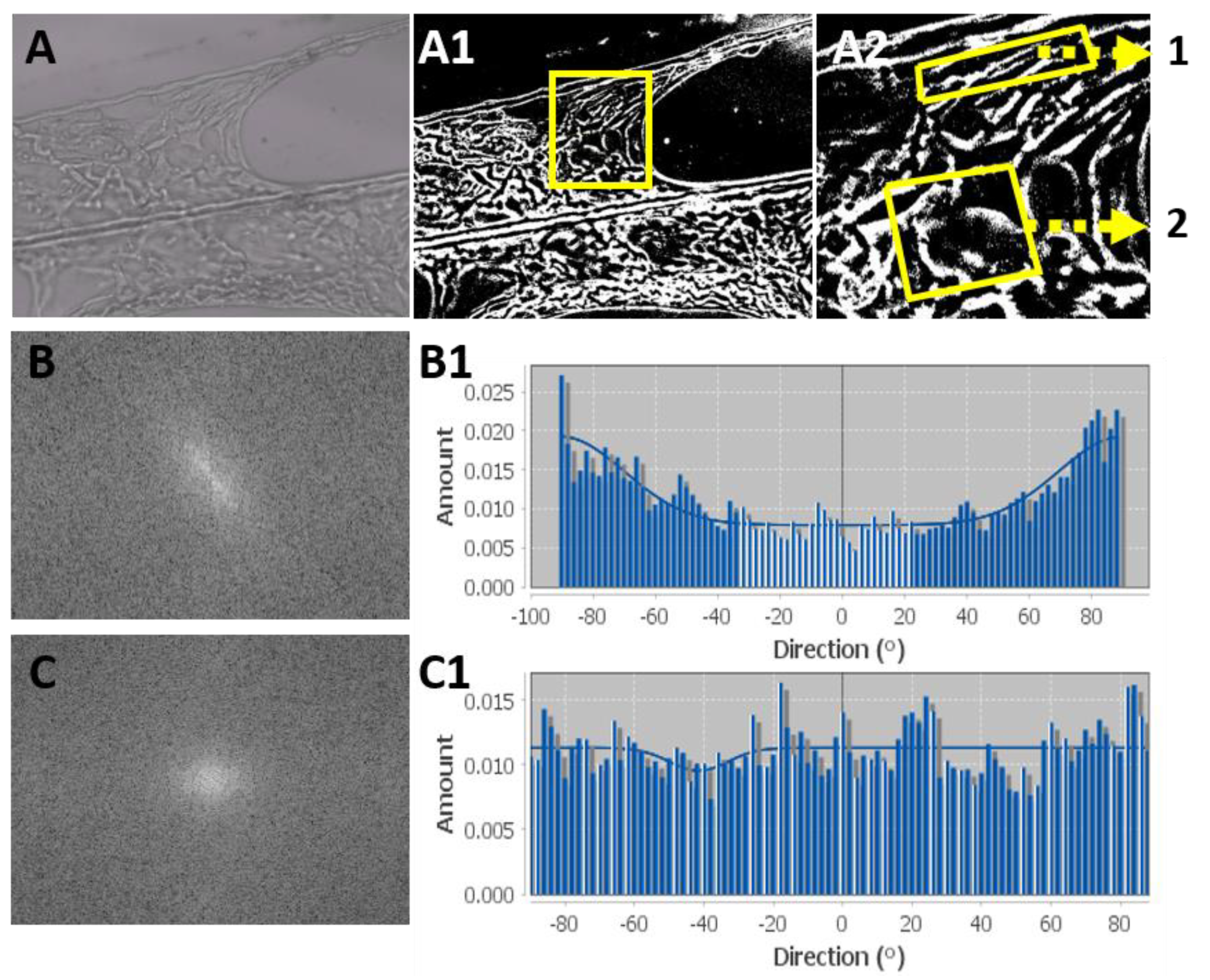 Biomolecules 10 00458 g003