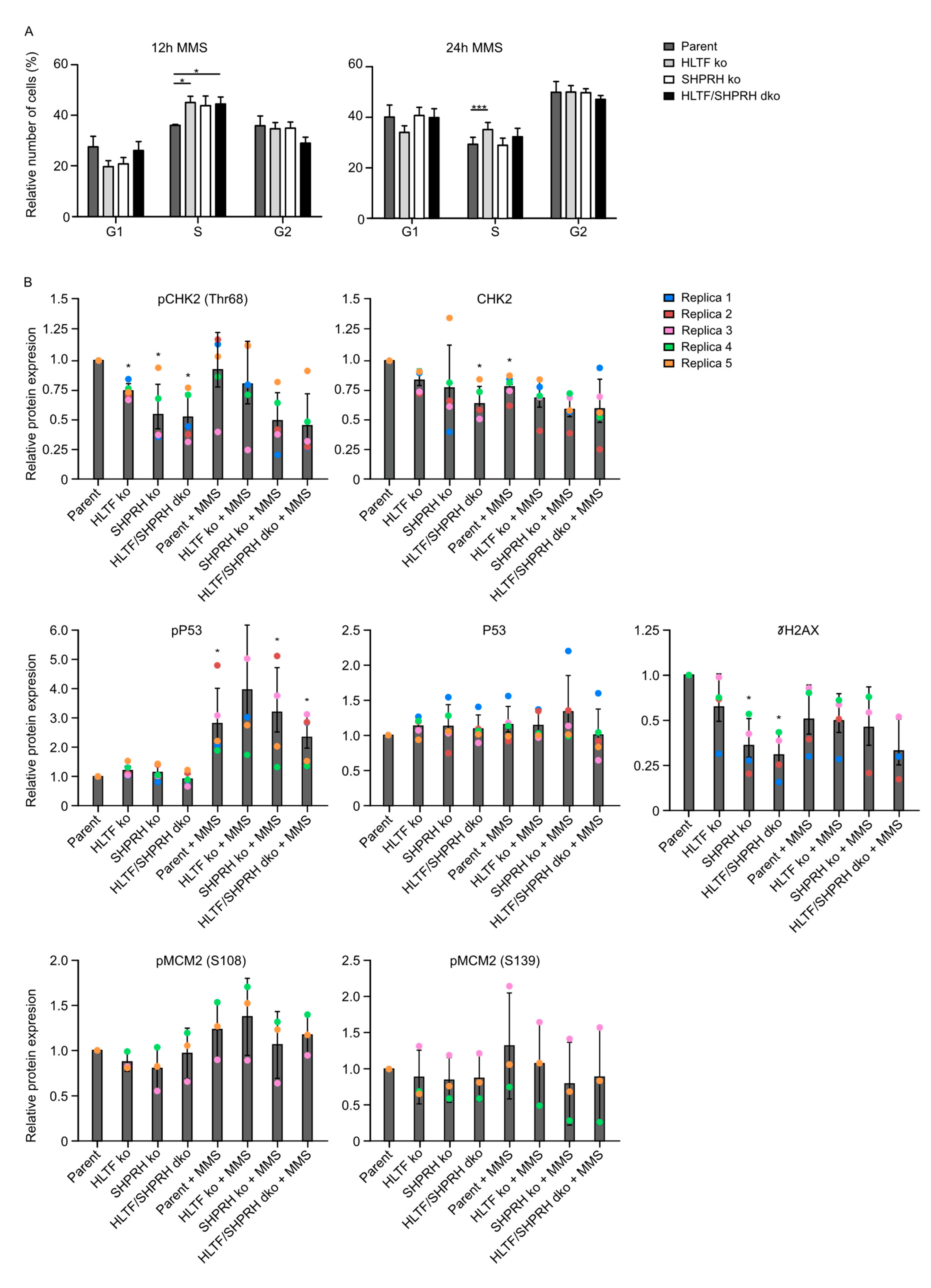 Biomolecules 10 00463 g005 Biomolecules 10 00463 g005