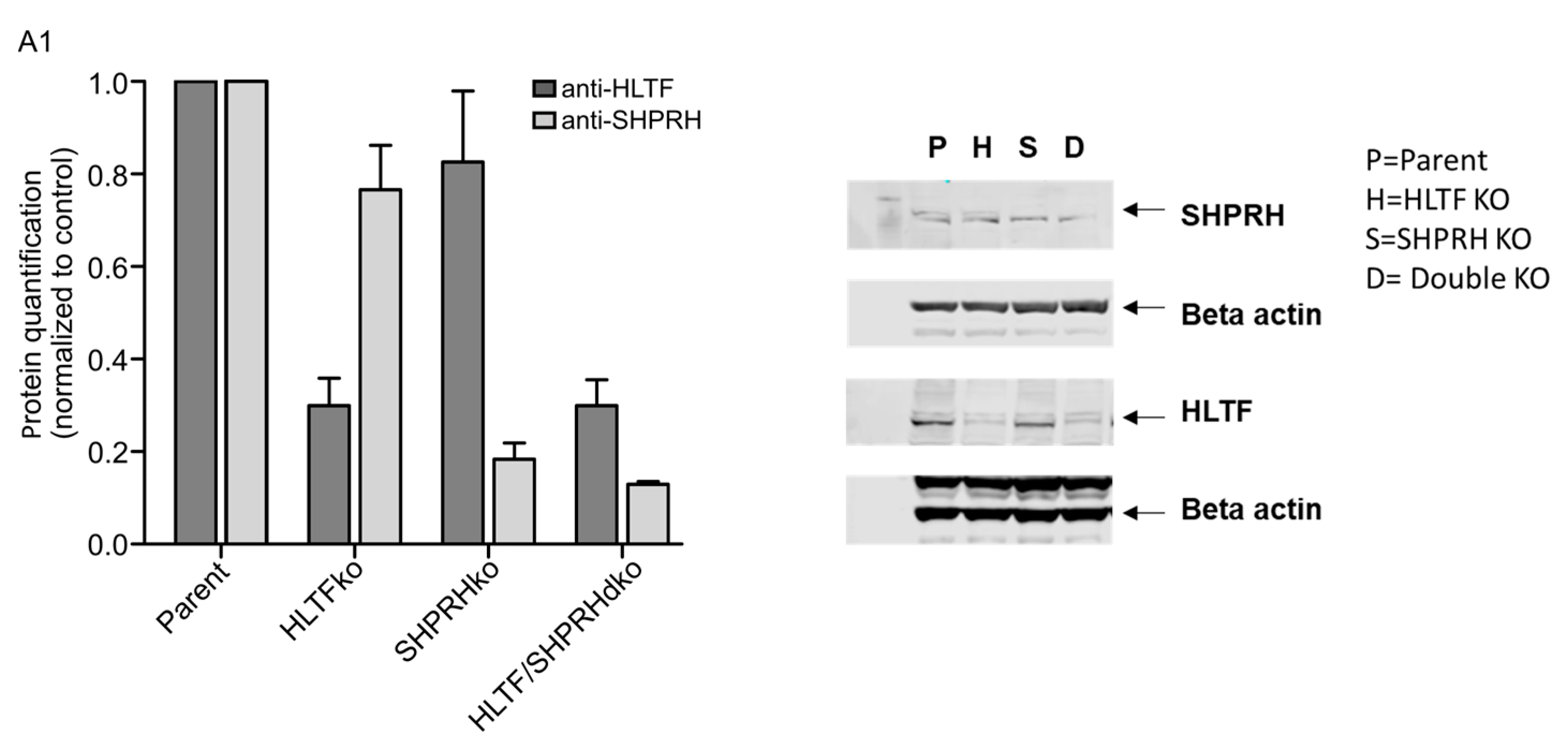 Biomolecules 10 00463 g0a1 Biomolecules 10 00463 g0a1