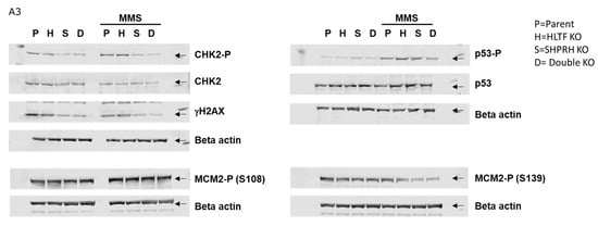 Biomolecules 10 00463 g0a3