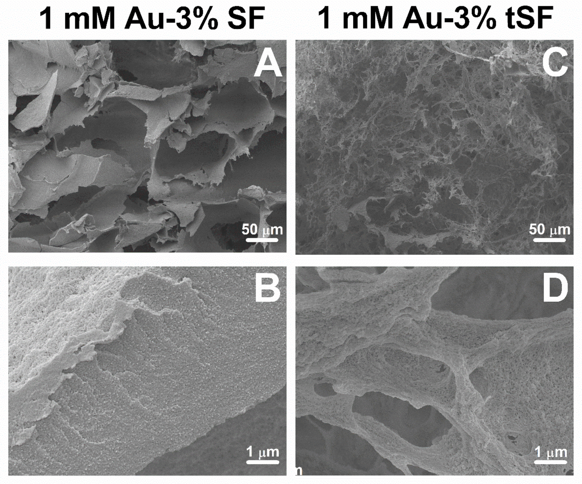 Biomolecules 10 00466 g005 Biomolecules 10 00466 g005