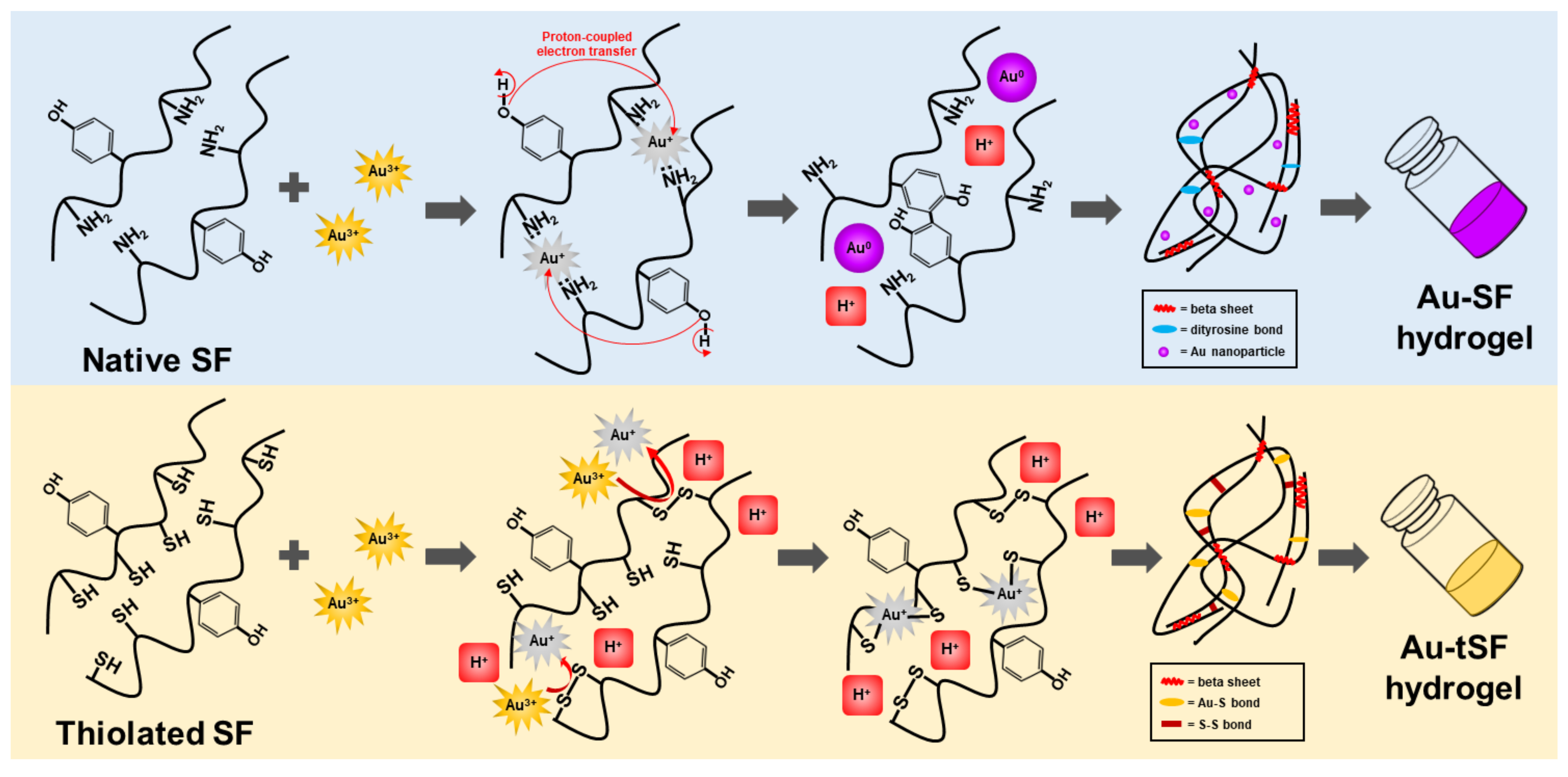 Biomolecules 10 00466 g008 Biomolecules 10 00466 g008
