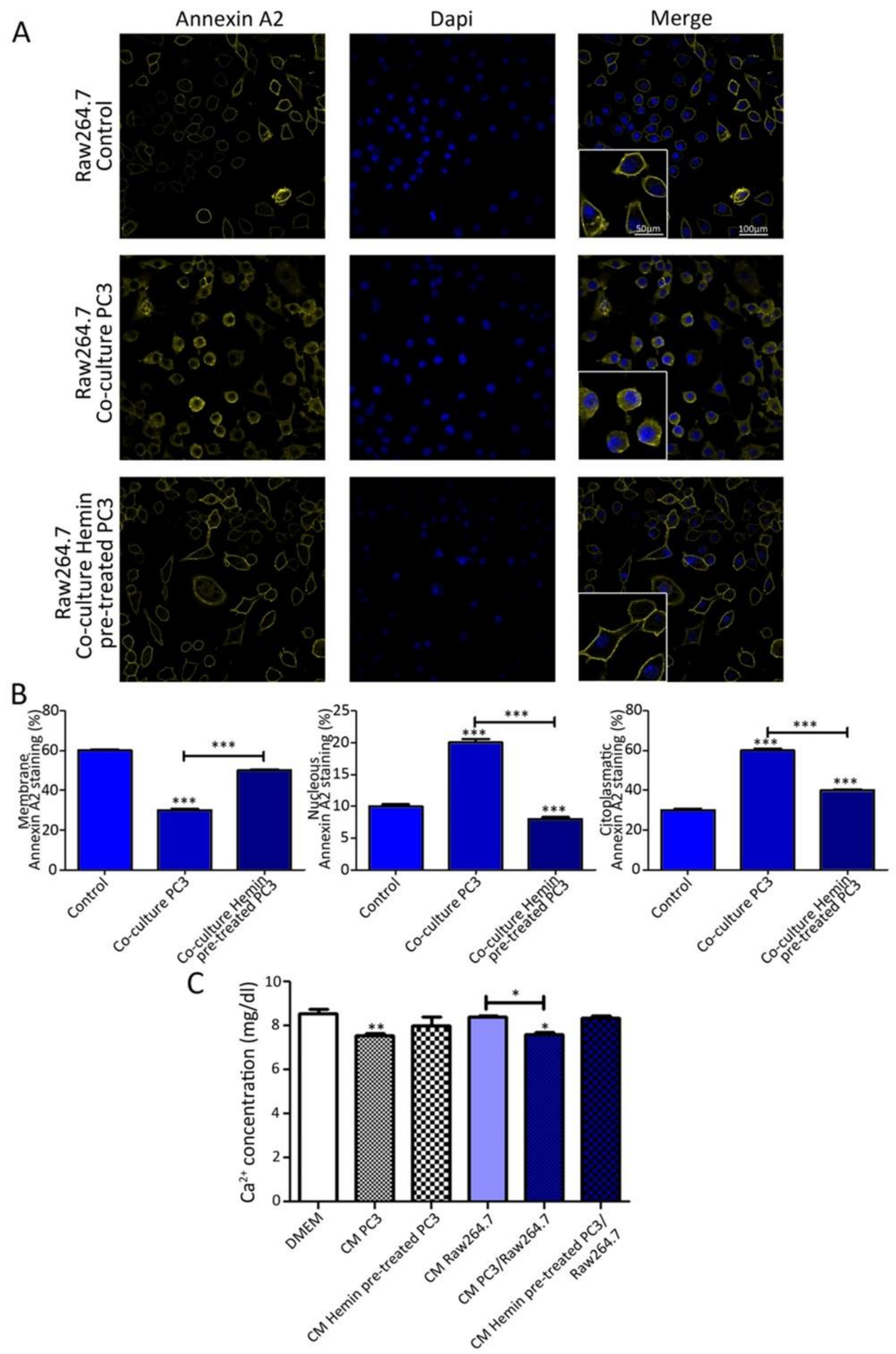 Biomolecules 10 00467 g002