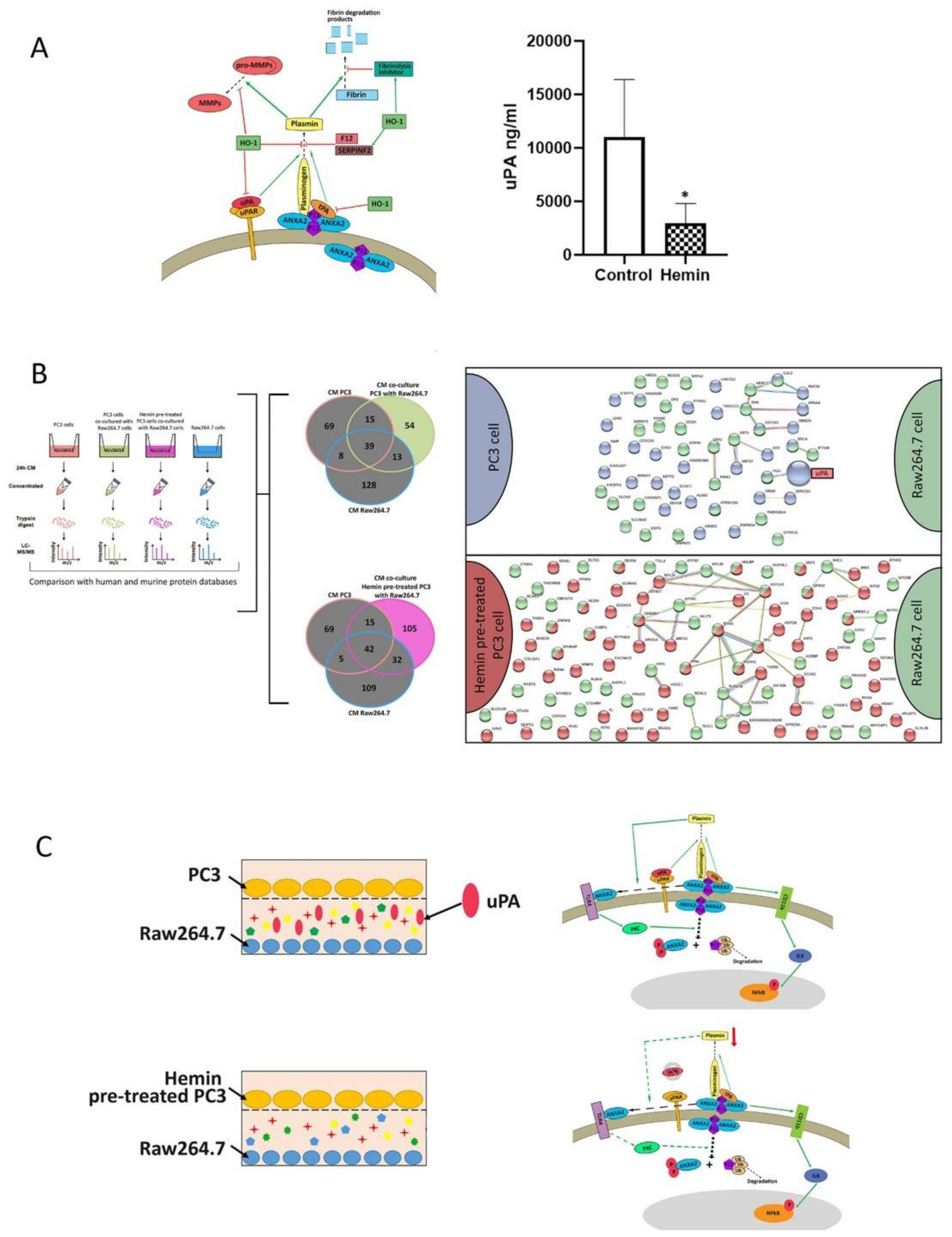 Biomolecules 10 00467 g003
