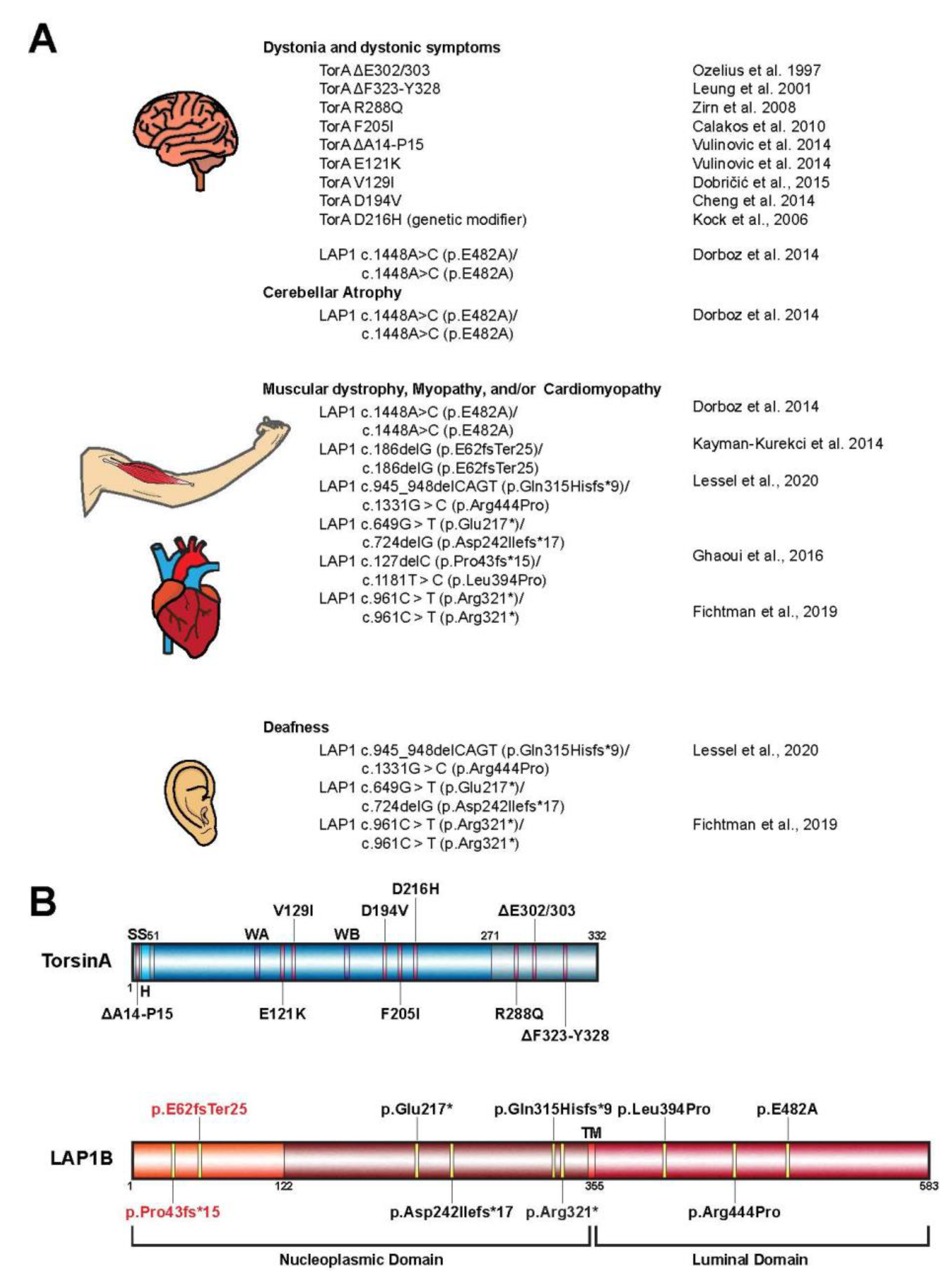 Biomolecules 10 00468 g002