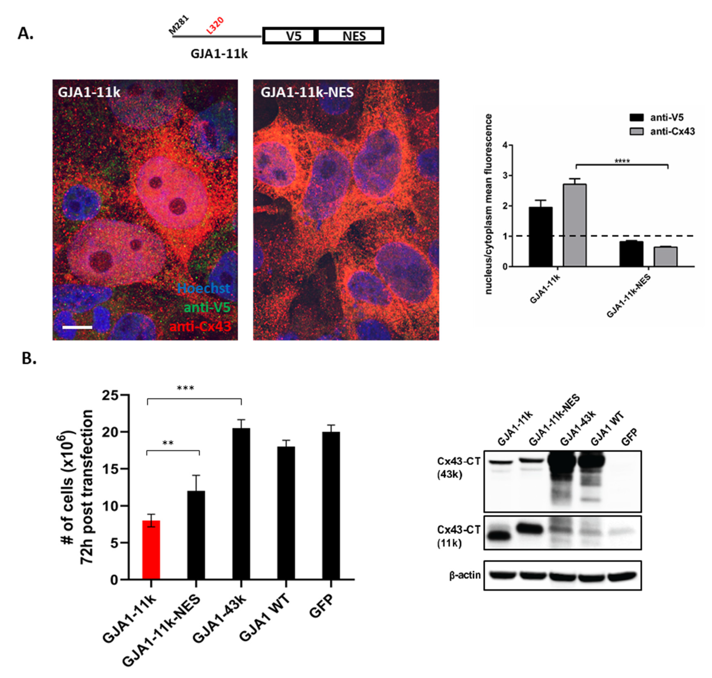 Biomolecules 10 00473 g005 Biomolecules 10 00473 g005