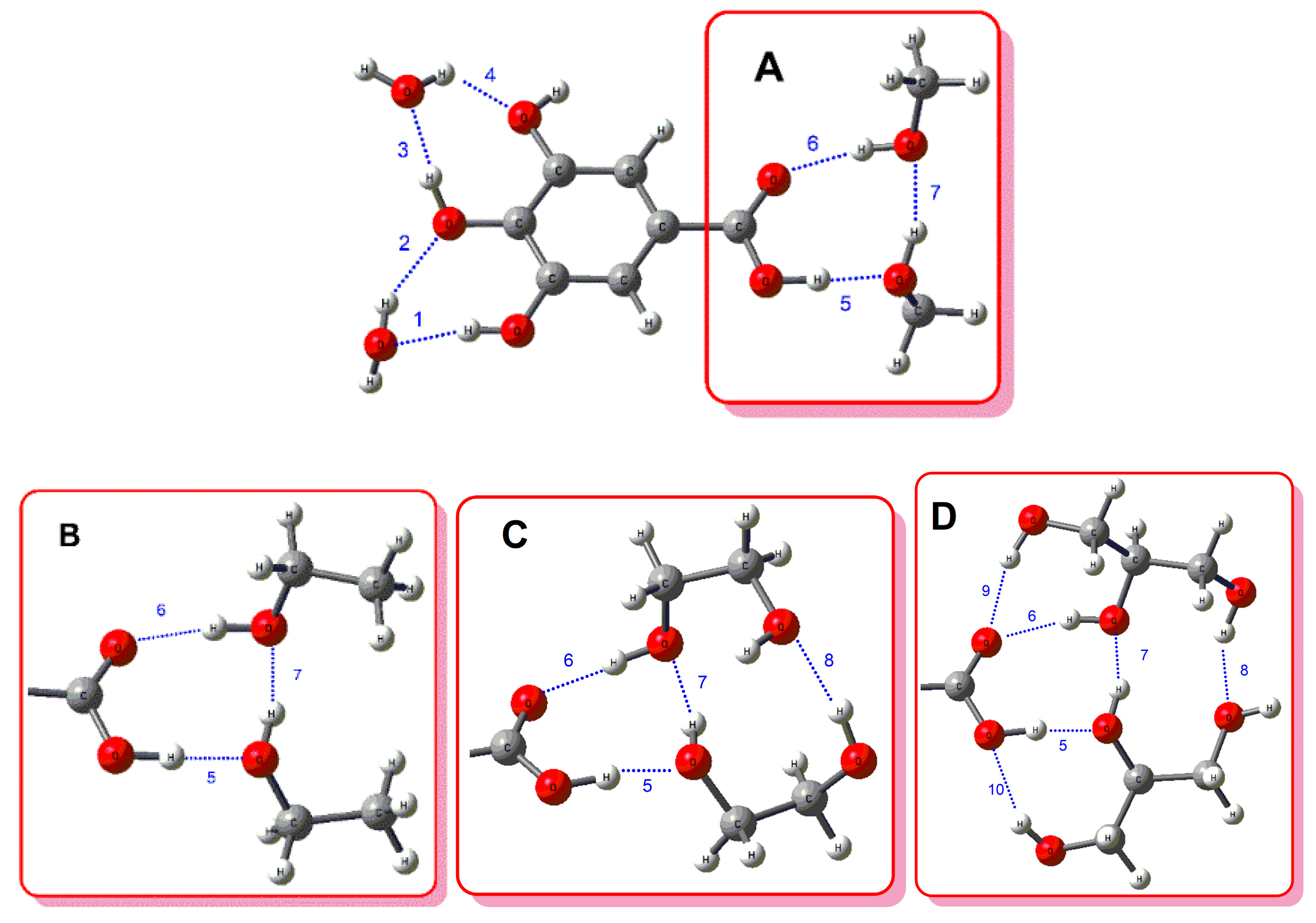 Biomolecules 10 00474 g002 Biomolecules 10 00474 g002
