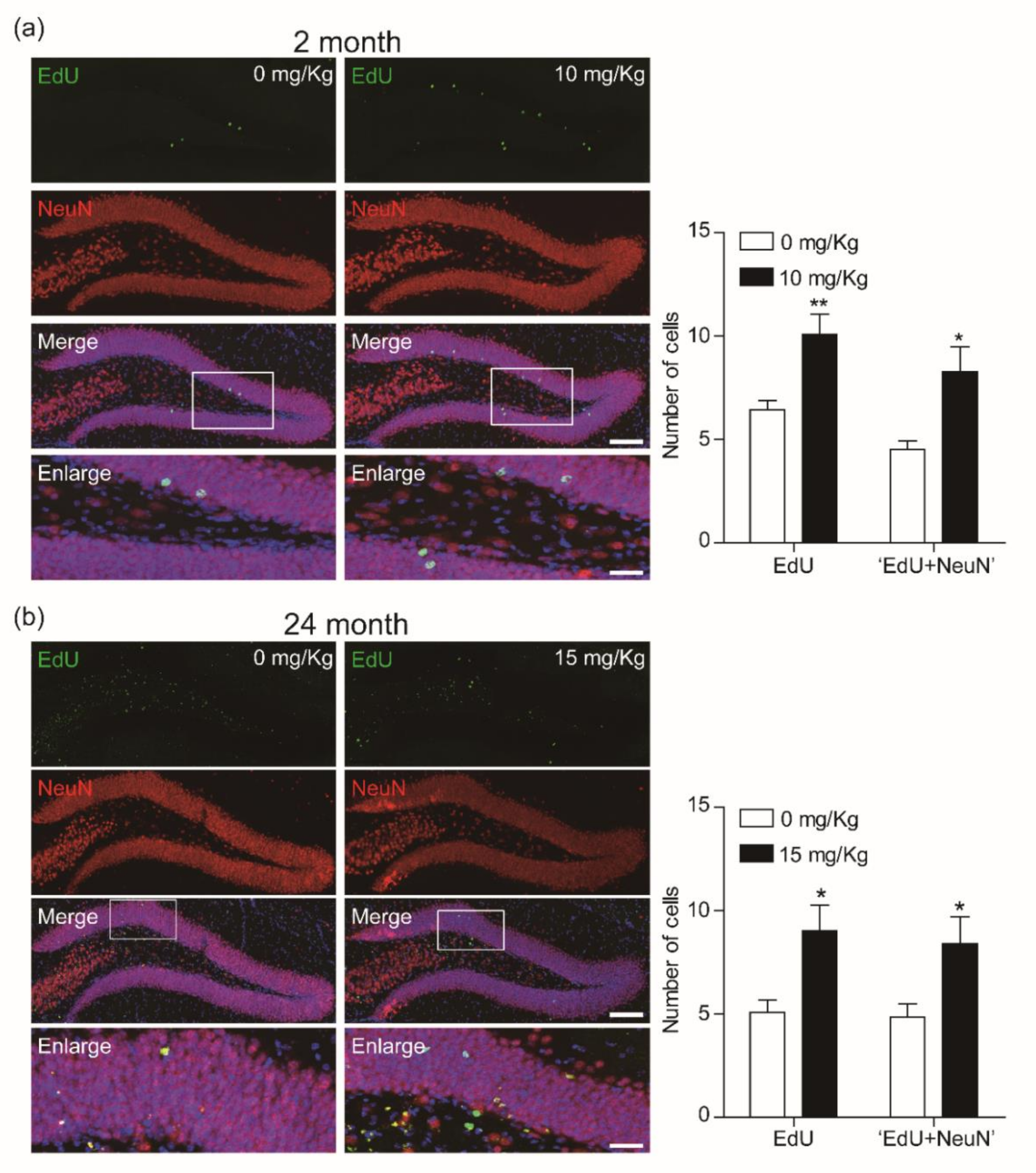 Biomolecules 10 00484 g005