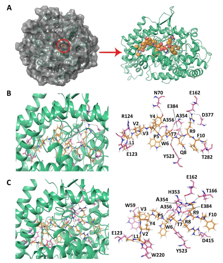 Biomolecules 10 00486 g001