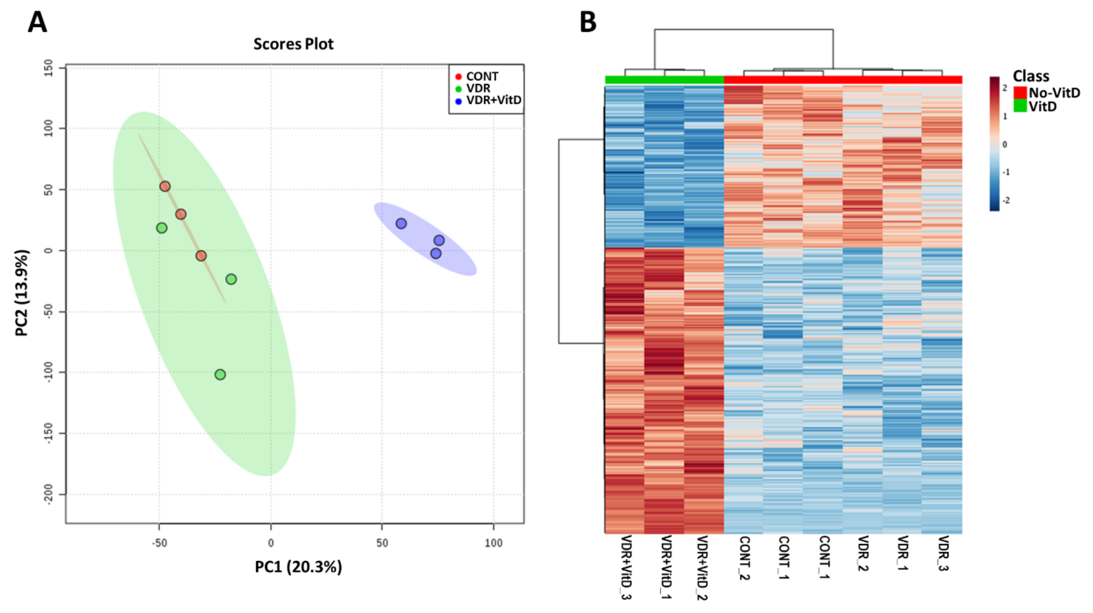 Biomolecules 10 00493 g001