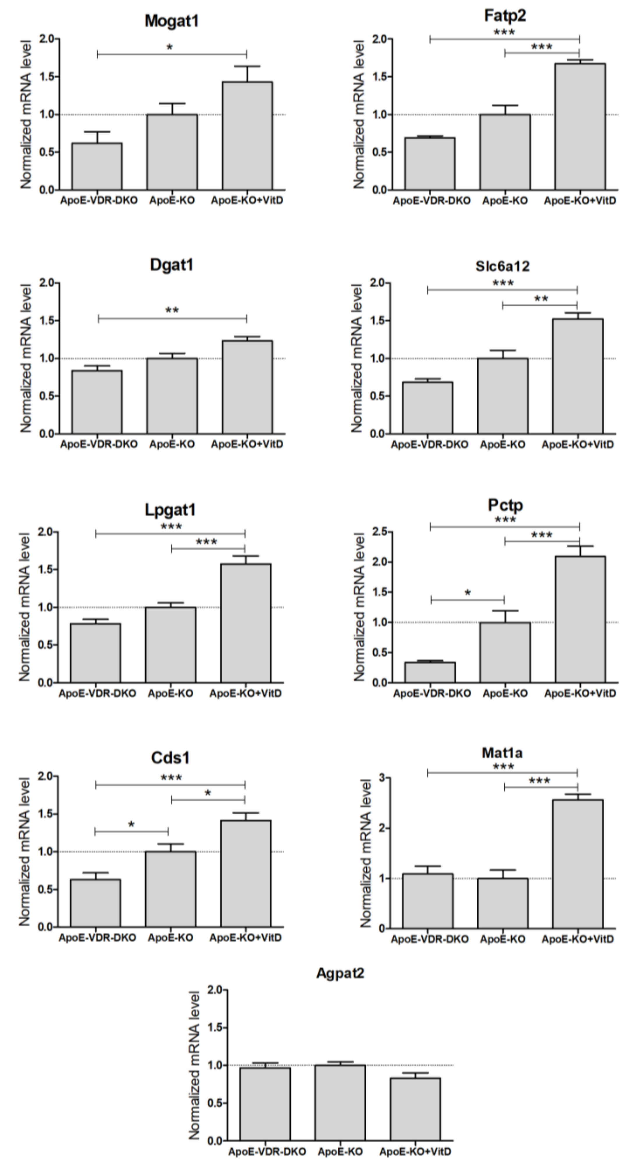 Biomolecules 10 00493 g004