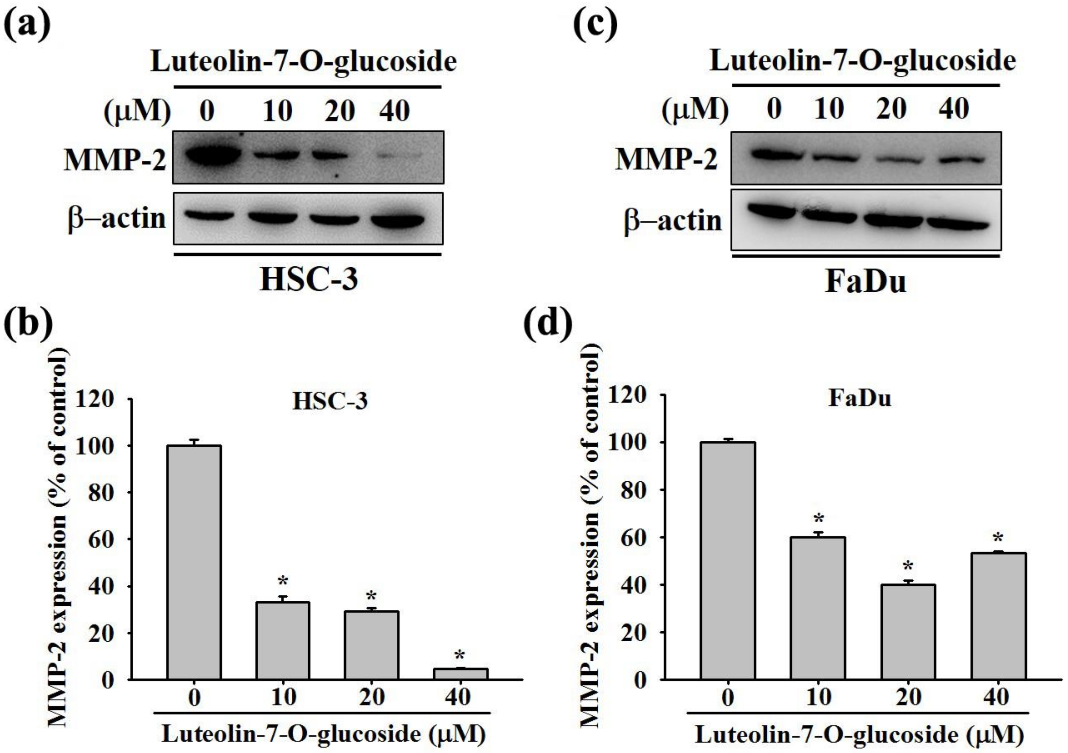 Biomolecules 10 00502 g004 Biomolecules 10 00502 g004