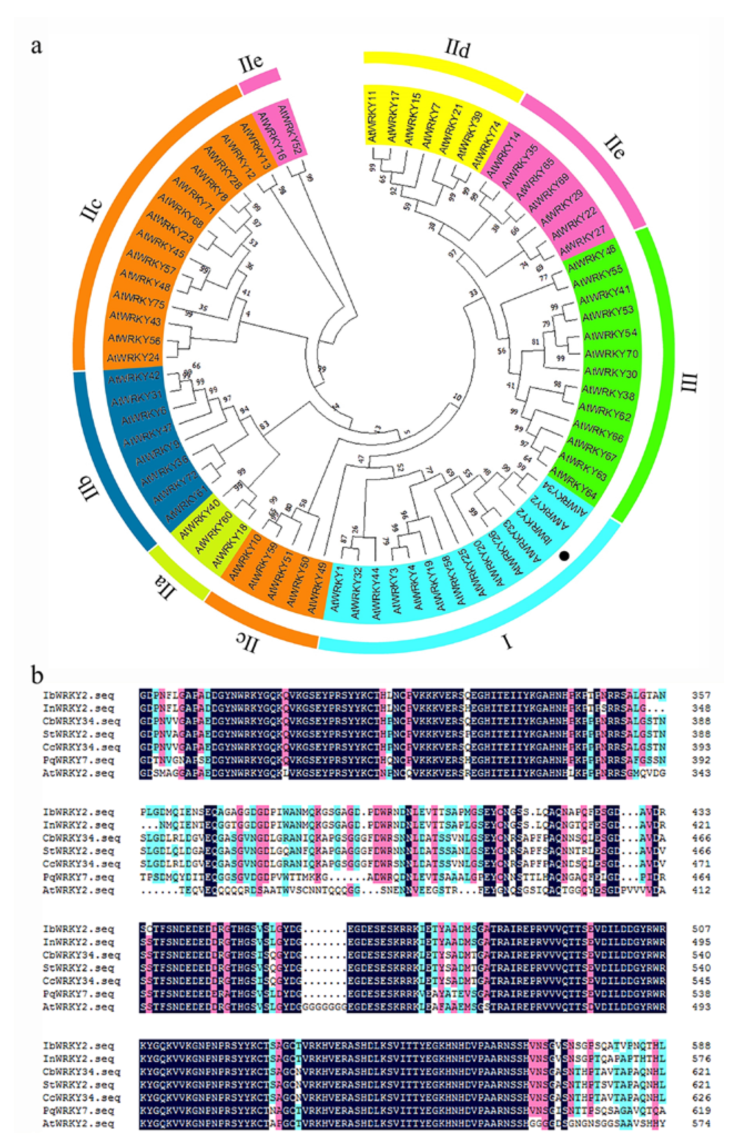 Biomolecules 10 00506 g001