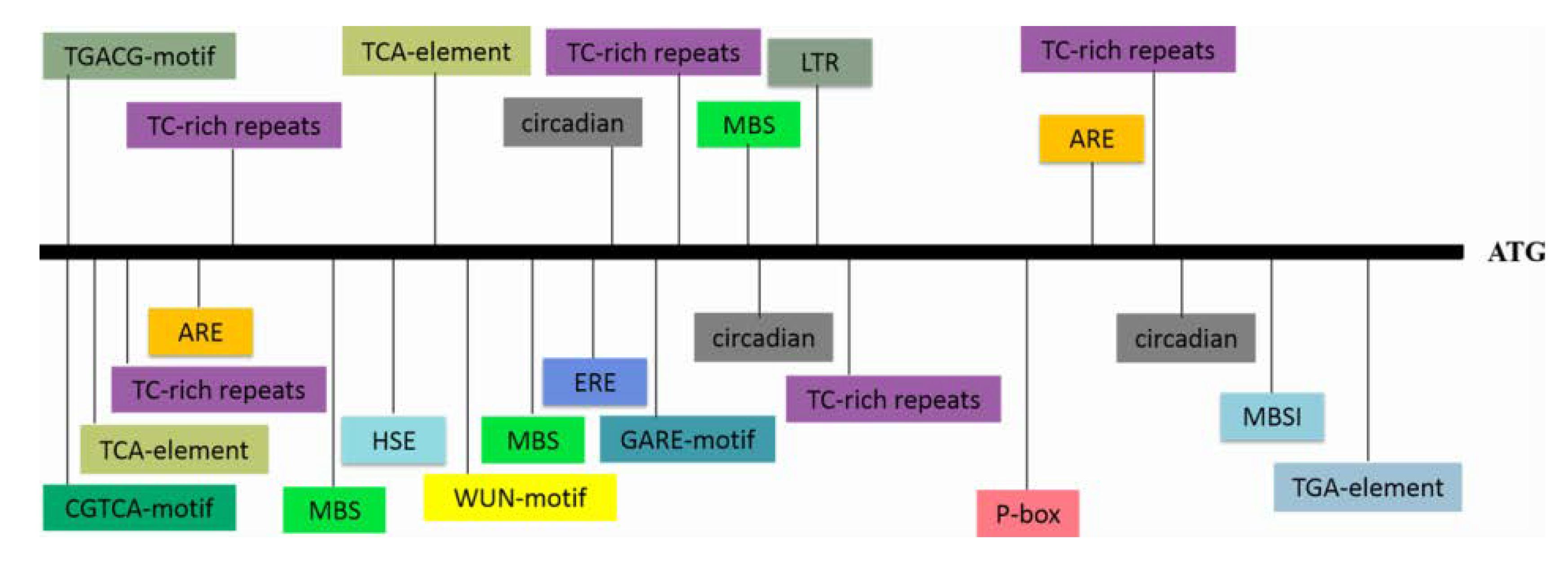 Biomolecules 10 00506 g002