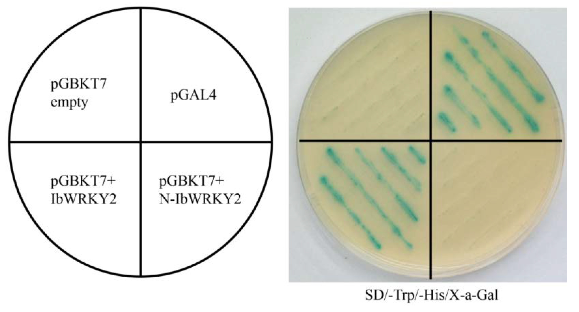 Biomolecules 10 00506 g005