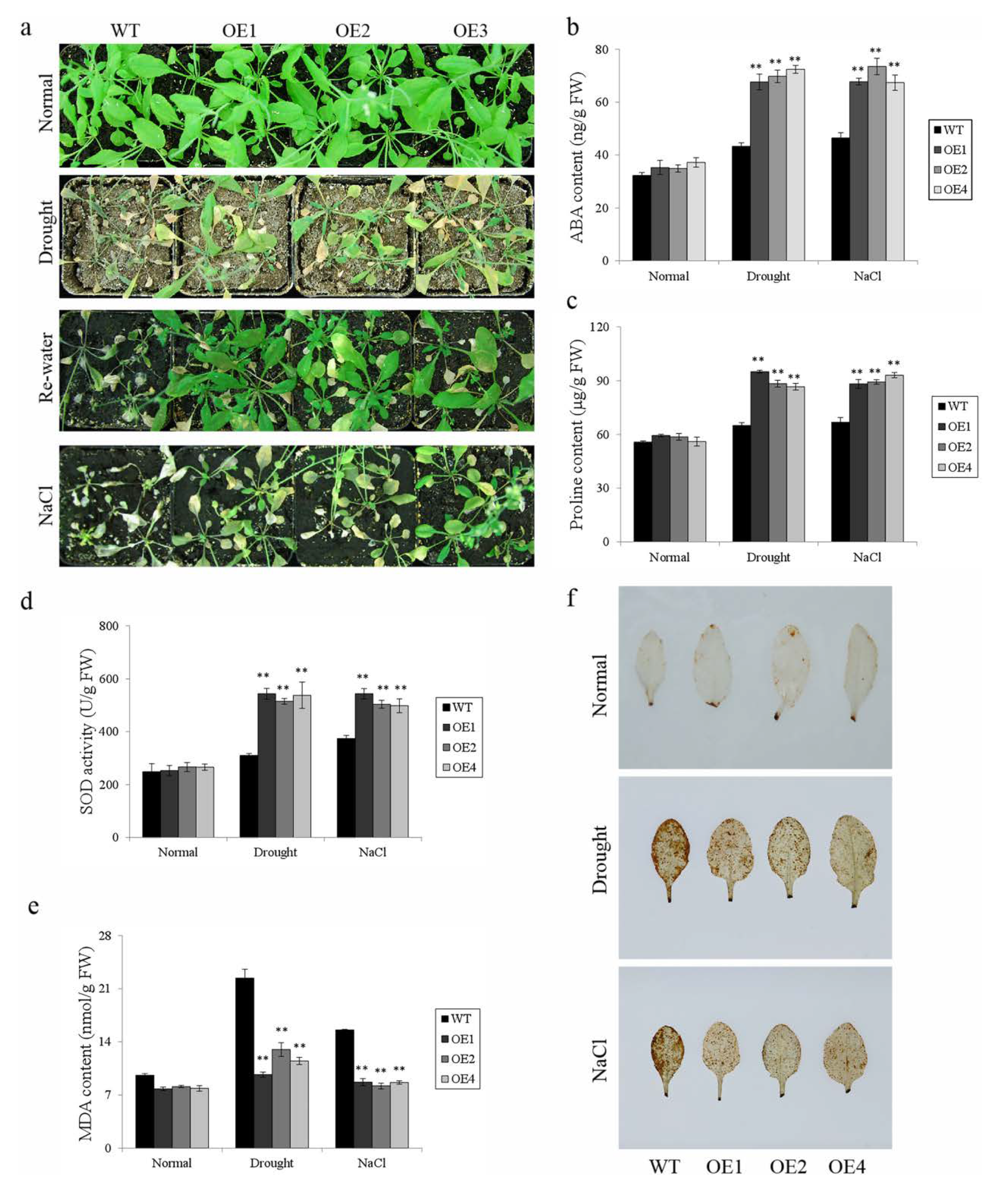 Biomolecules 10 00506 g008