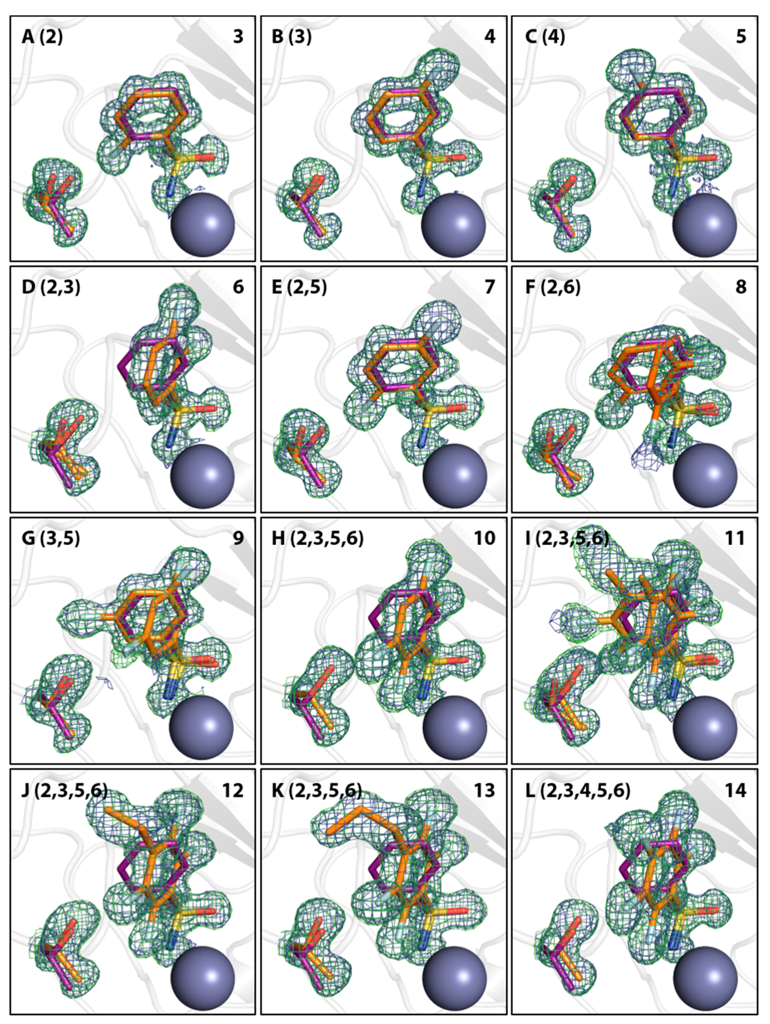 Biomolecules 10 00509 g002
