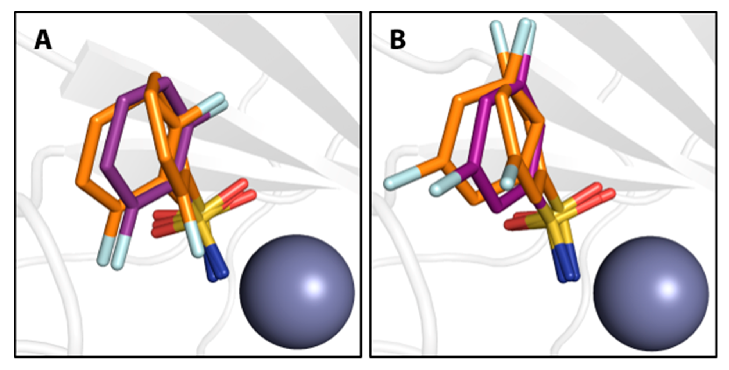 Biomolecules 10 00509 g003