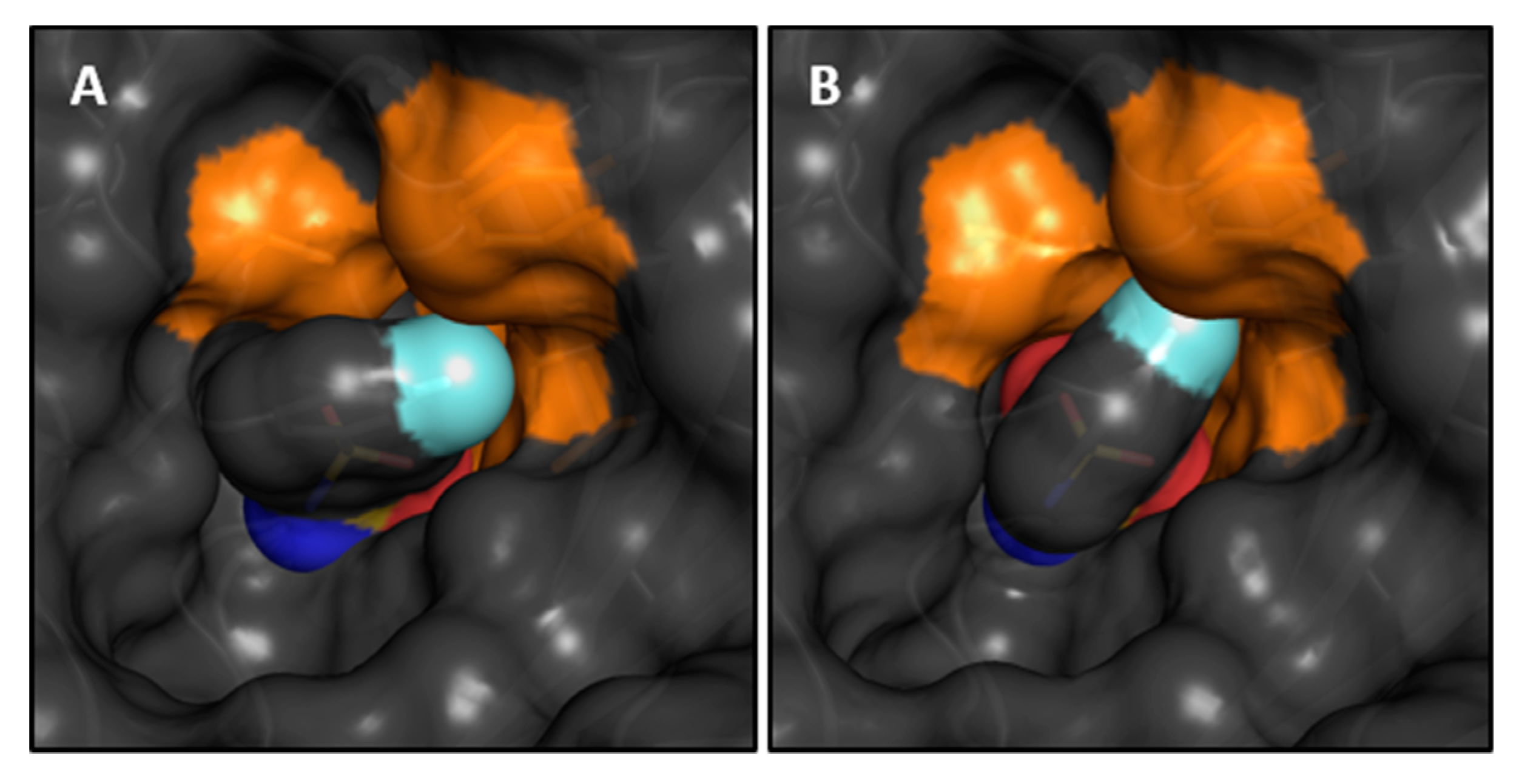 Biomolecules 10 00509 g005