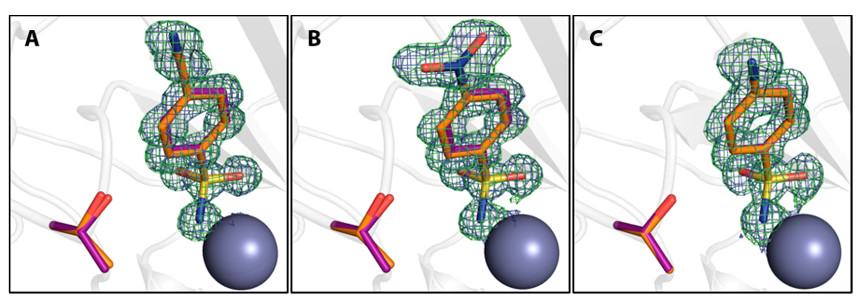 Biomolecules 10 00509 g006