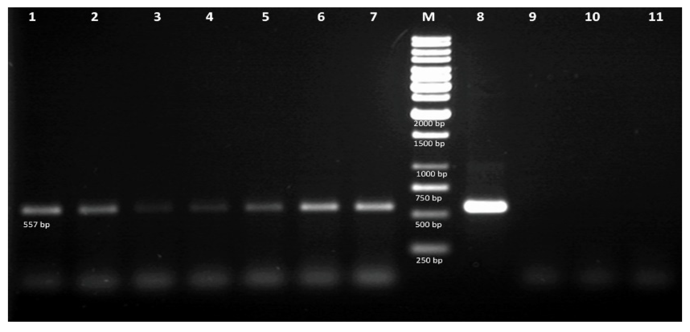 Biomolecules 10 00510 g003 Biomolecules 10 00510 g003