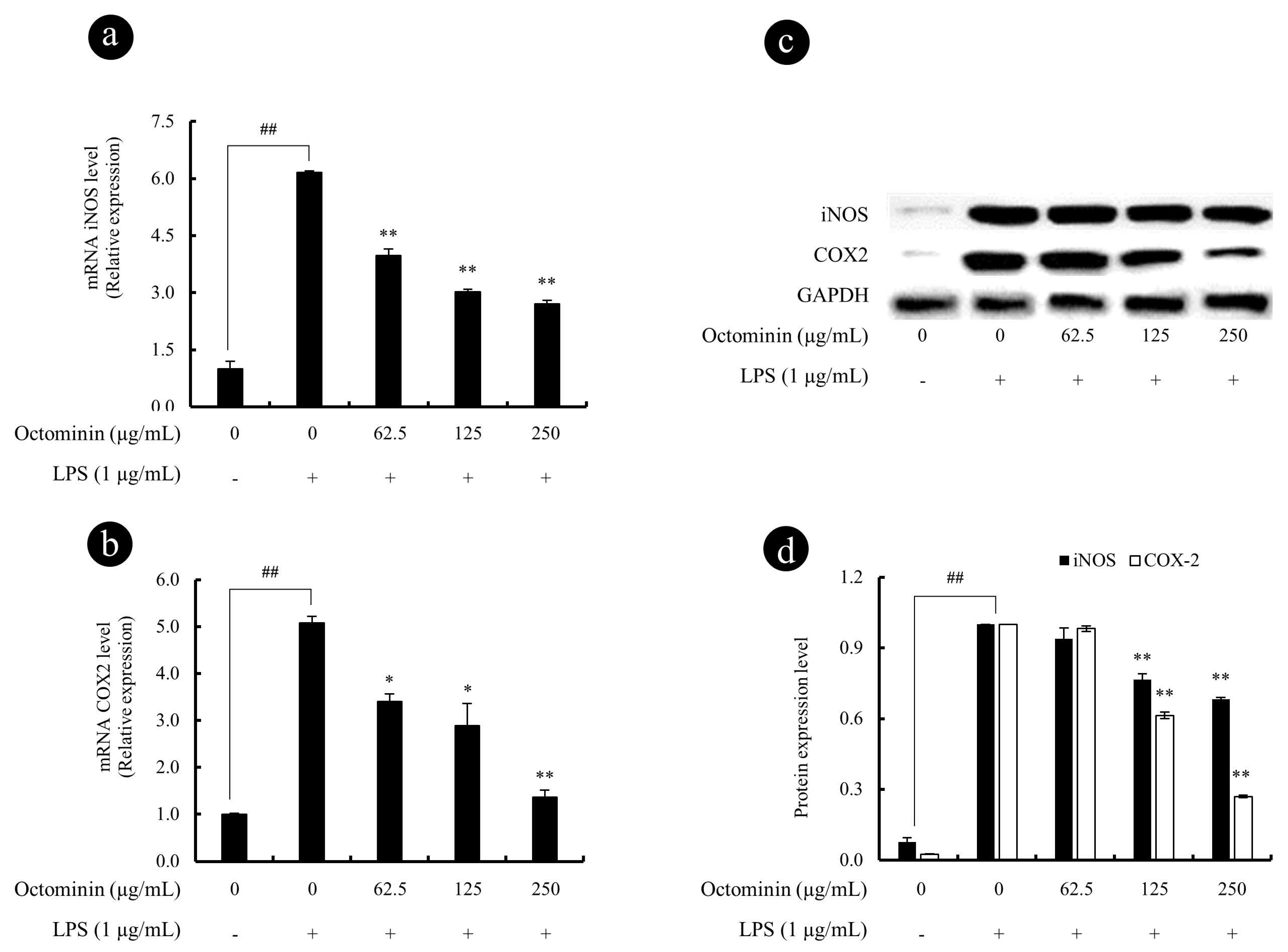 Biomolecules 10 00511 g005