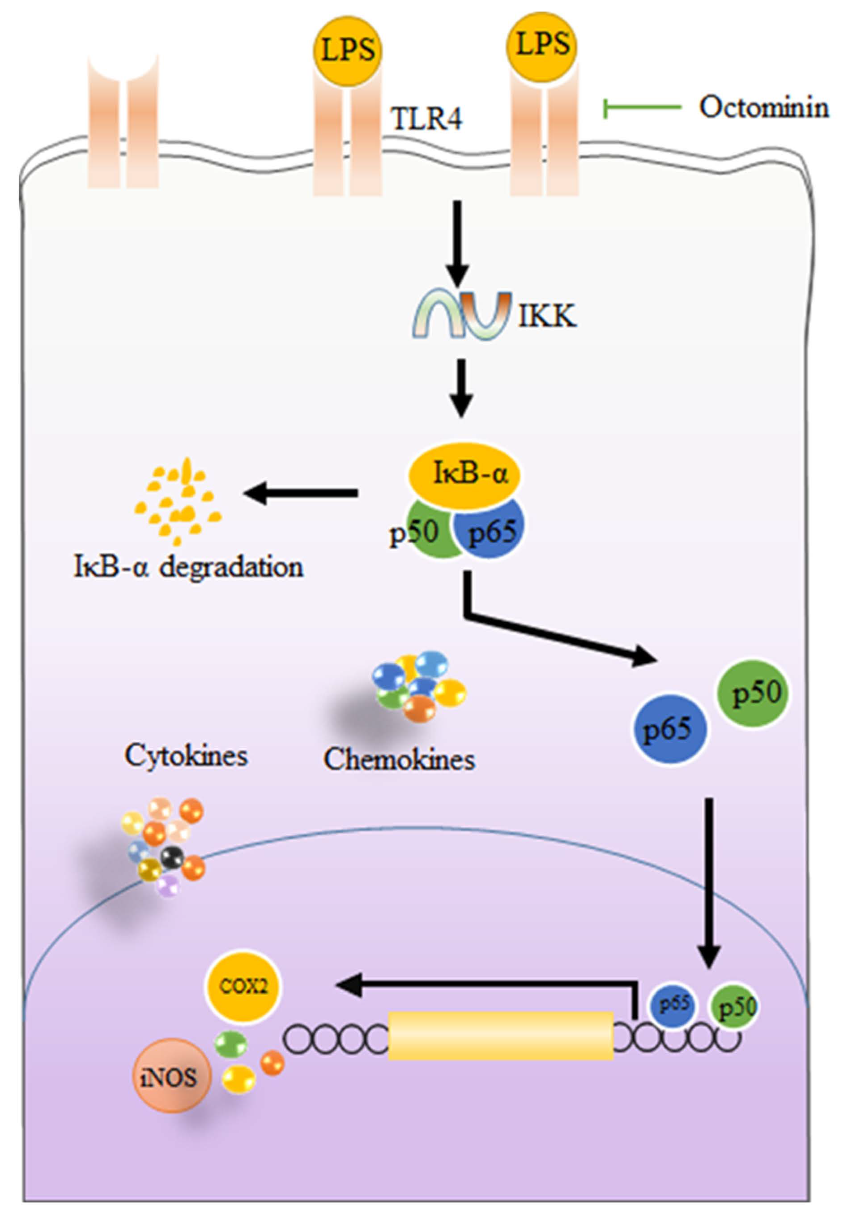 Biomolecules 10 00511 g007