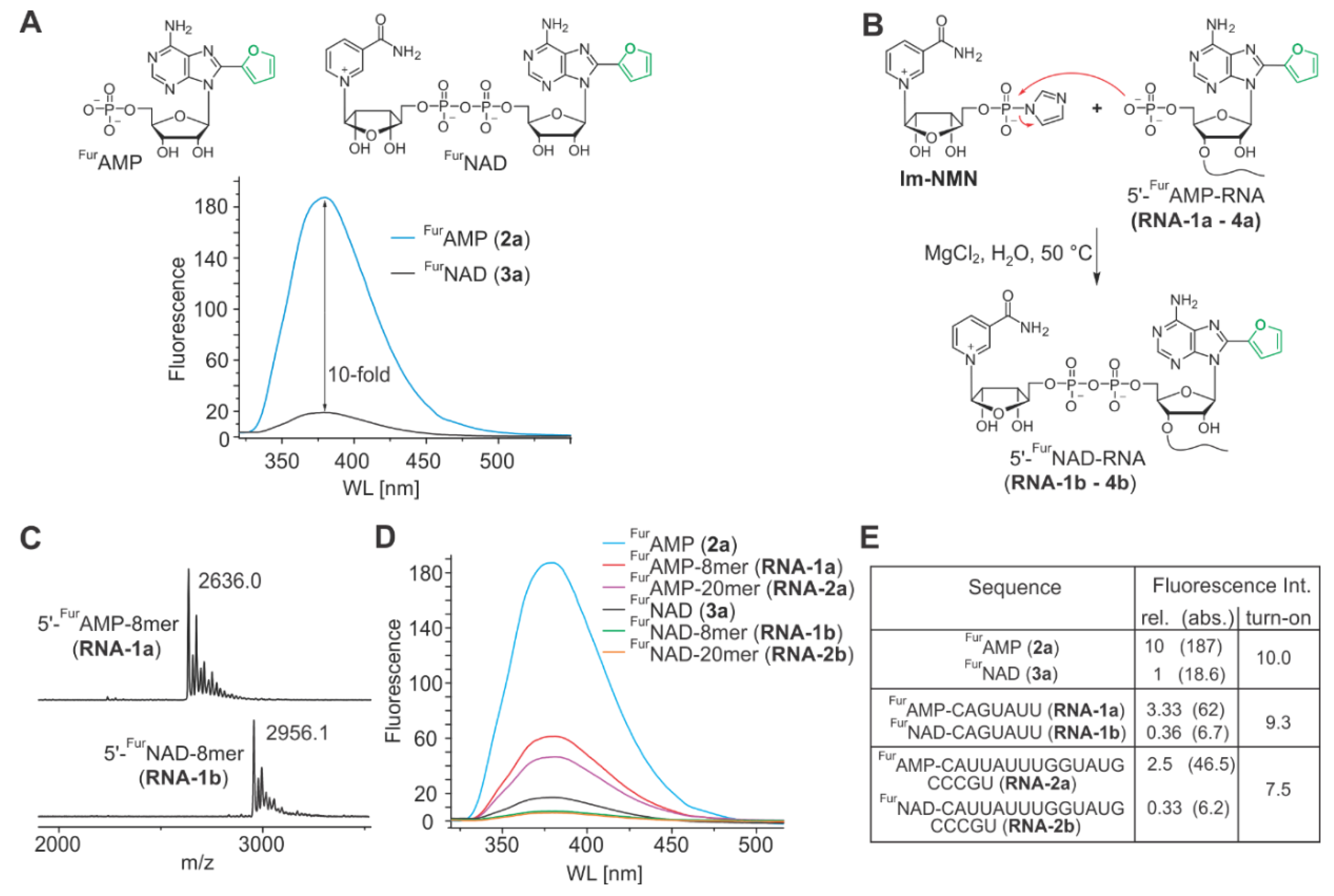 Biomolecules 10 00513 g003 Biomolecules 10 00513 g003