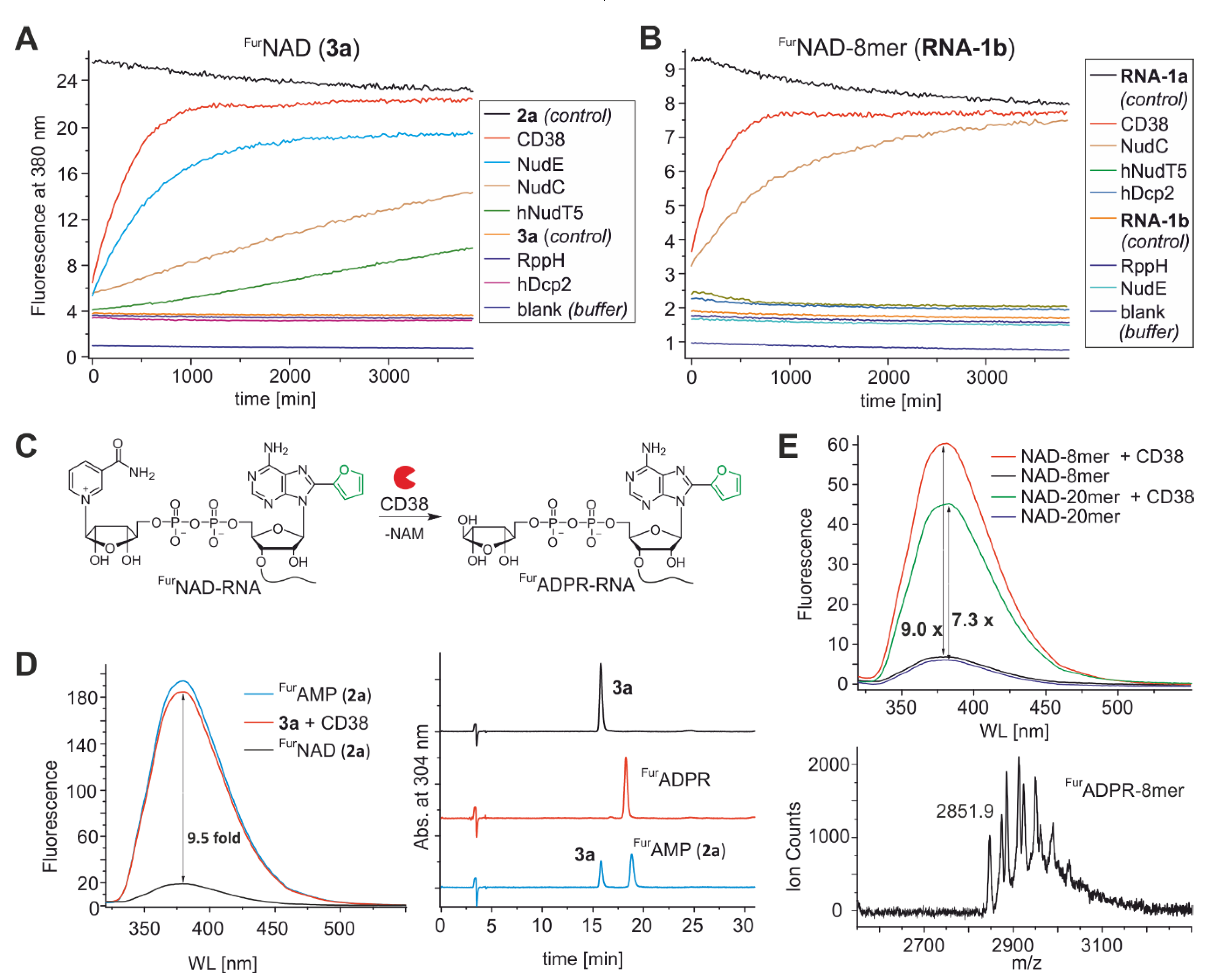 Biomolecules 10 00513 g005 Biomolecules 10 00513 g005