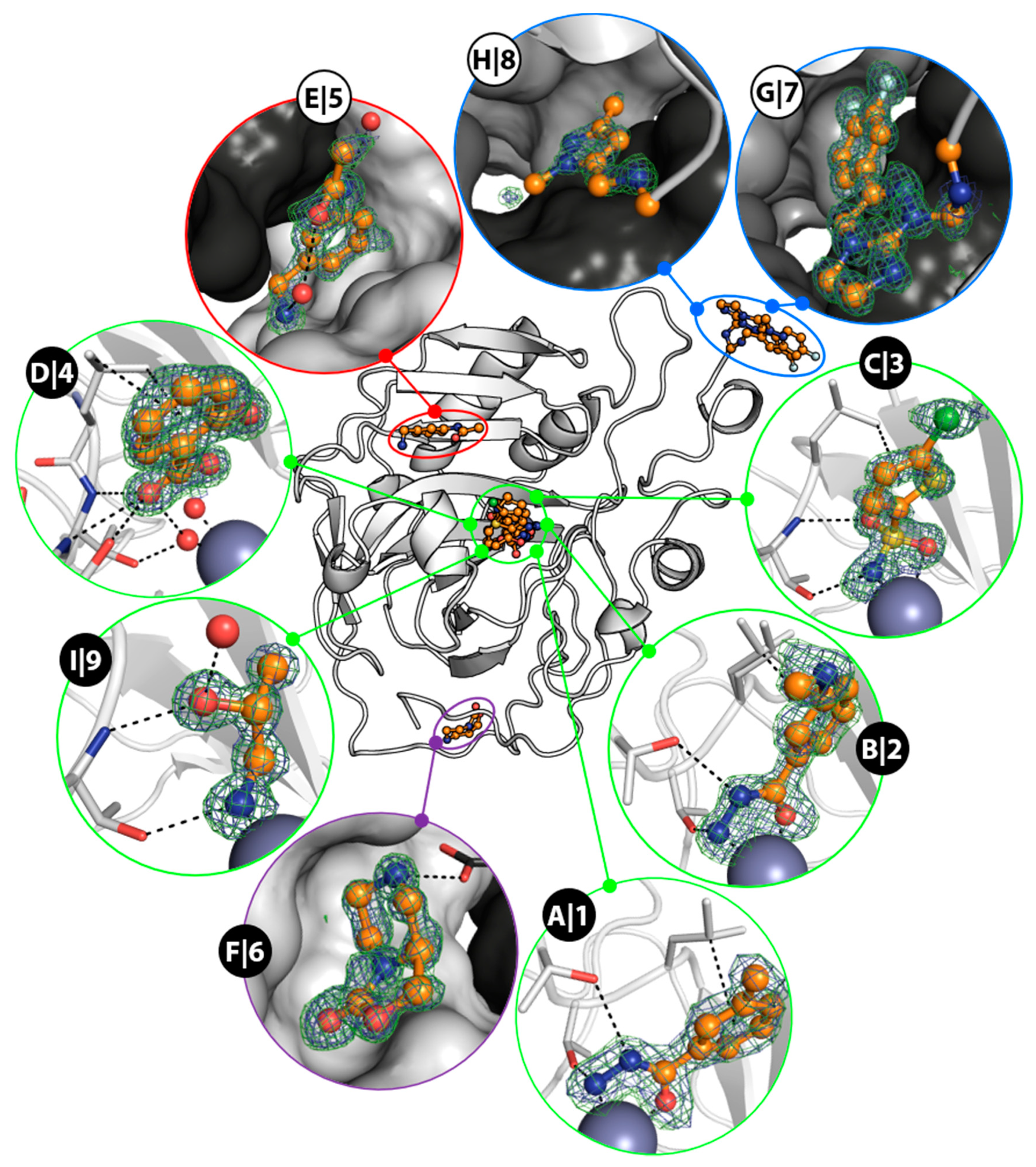 Biomolecules 10 00518 g002 Biomolecules 10 00518 g002