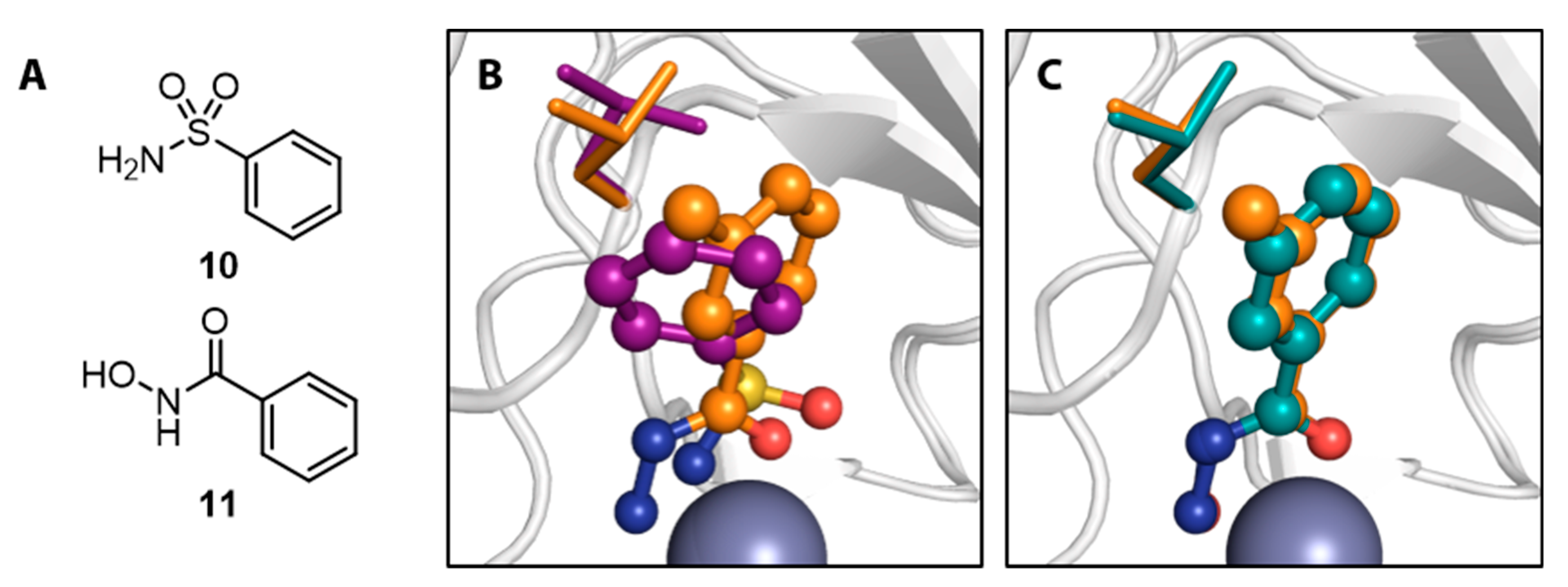 Biomolecules 10 00518 g003 Biomolecules 10 00518 g003