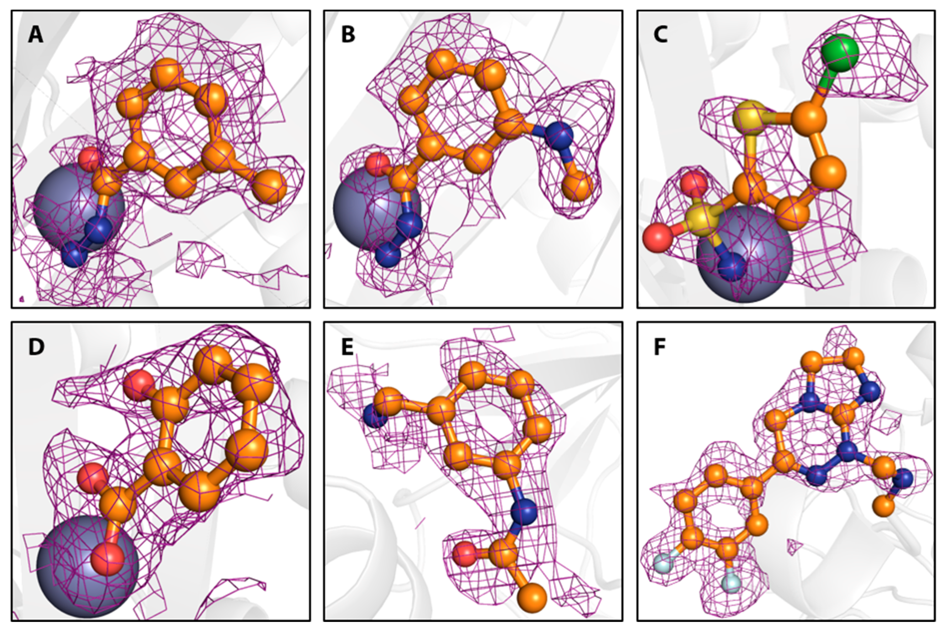 Biomolecules 10 00518 g005 Biomolecules 10 00518 g005