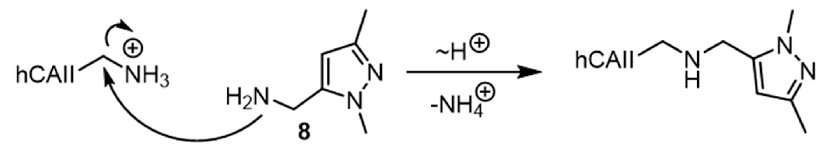 Biomolecules 10 00518 sch003 Biomolecules 10 00518 sch003