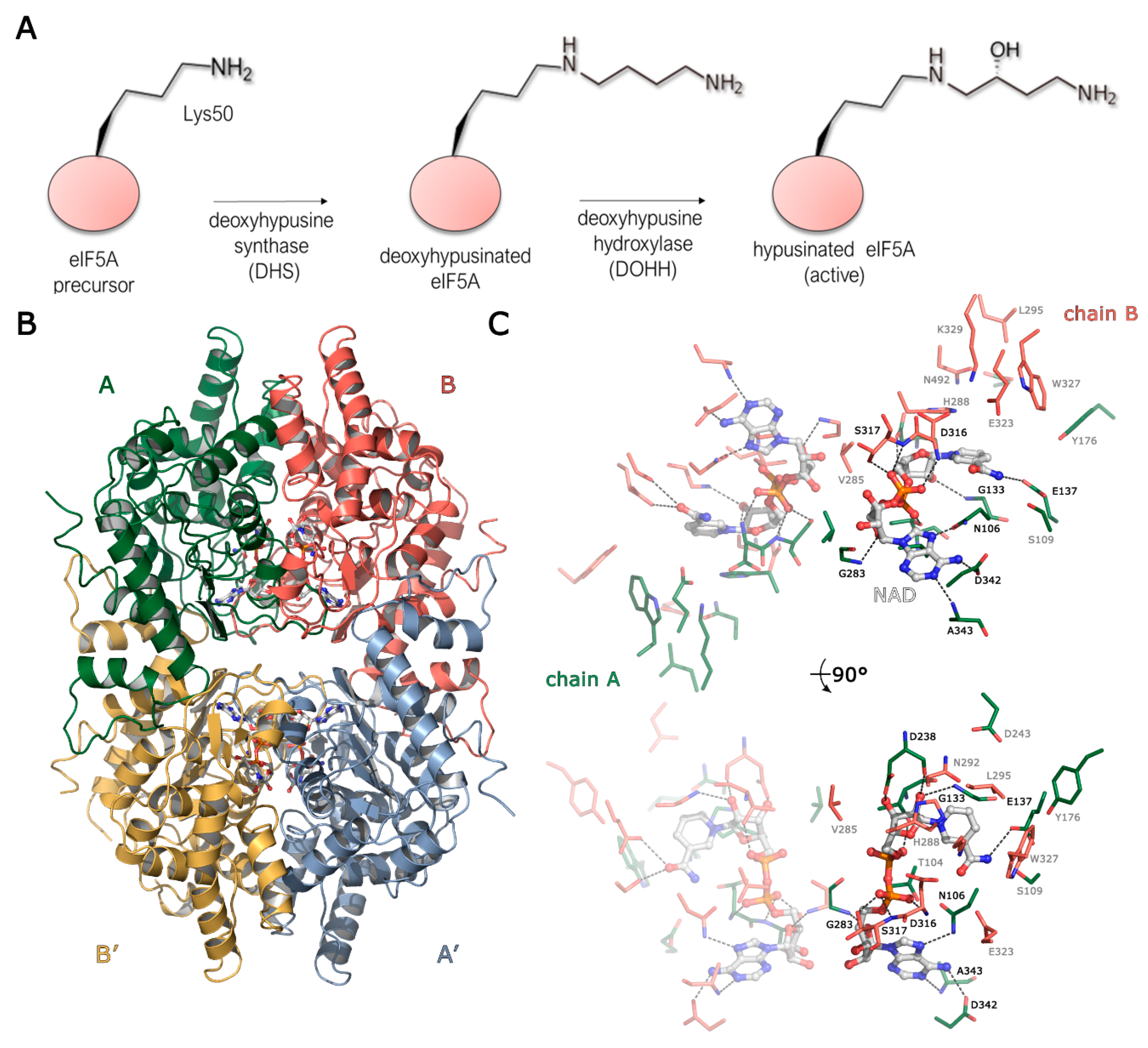 Biomolecules 10 00522 g001