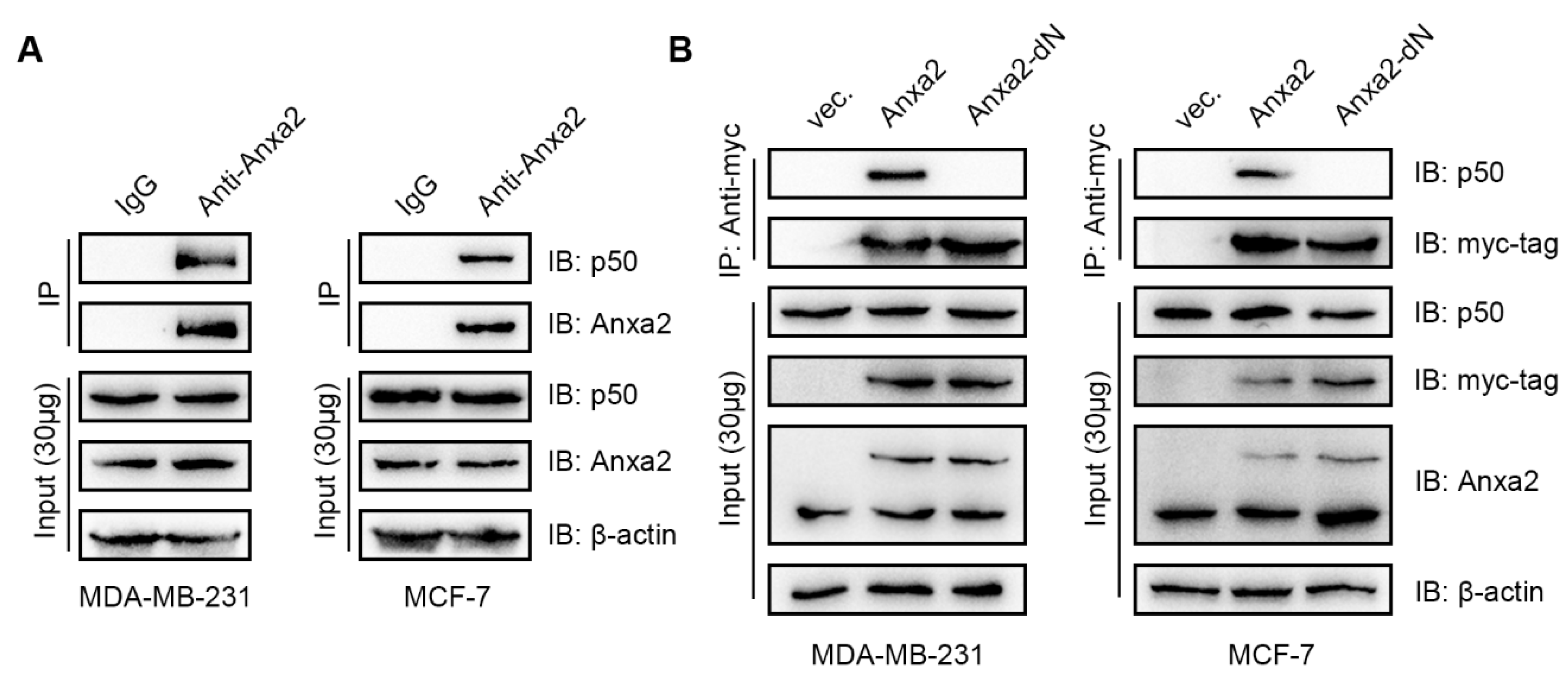Biomolecules 10 00528 g001