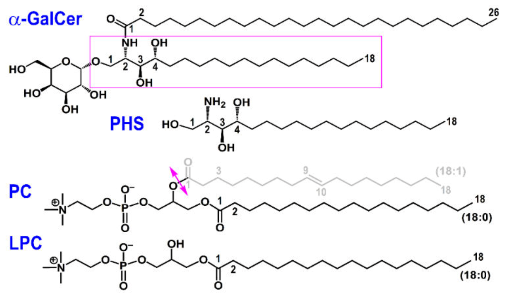 Biomolecules 10 00532 g001 Biomolecules 10 00532 g001