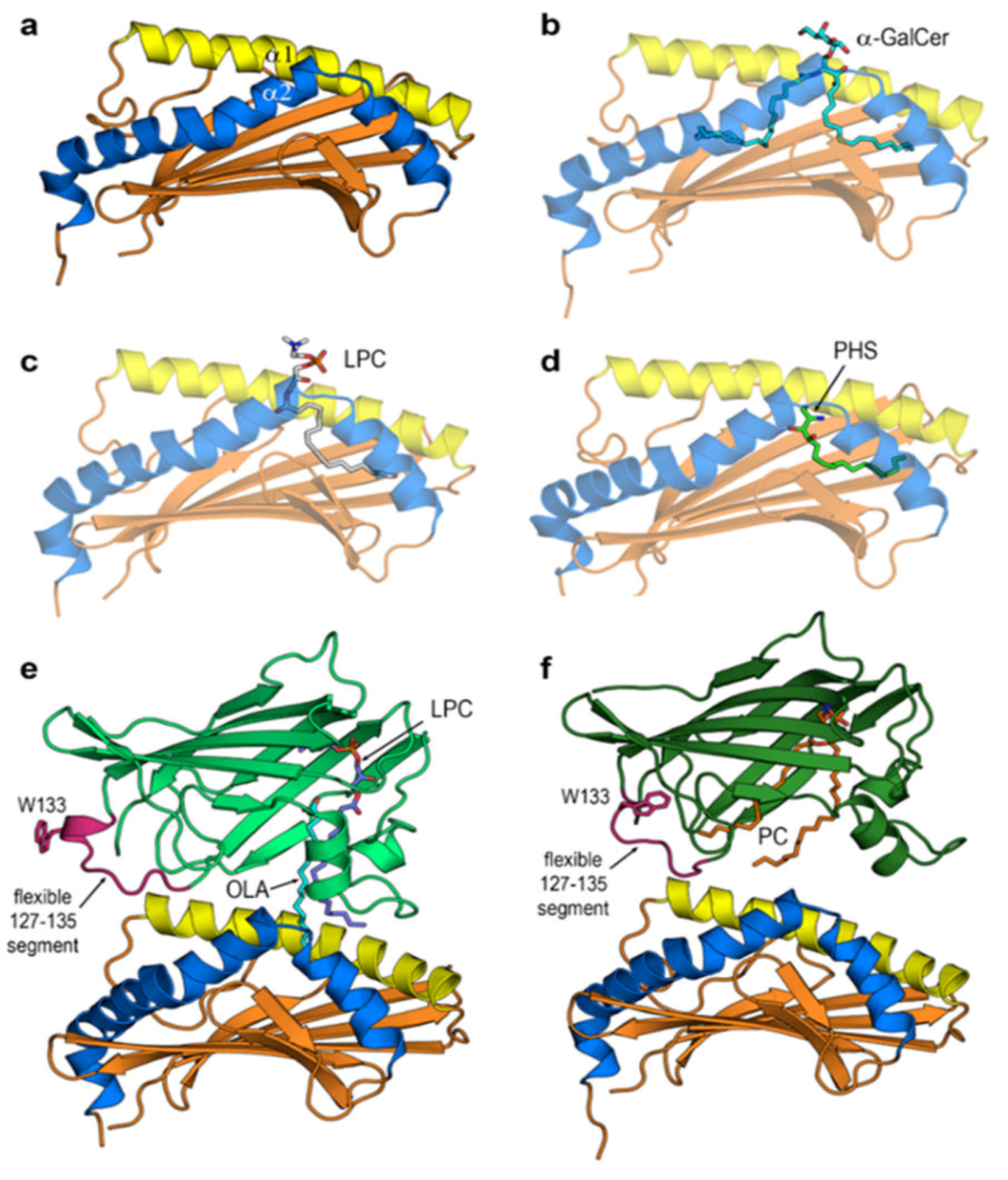 Biomolecules 10 00532 g002 Biomolecules 10 00532 g002