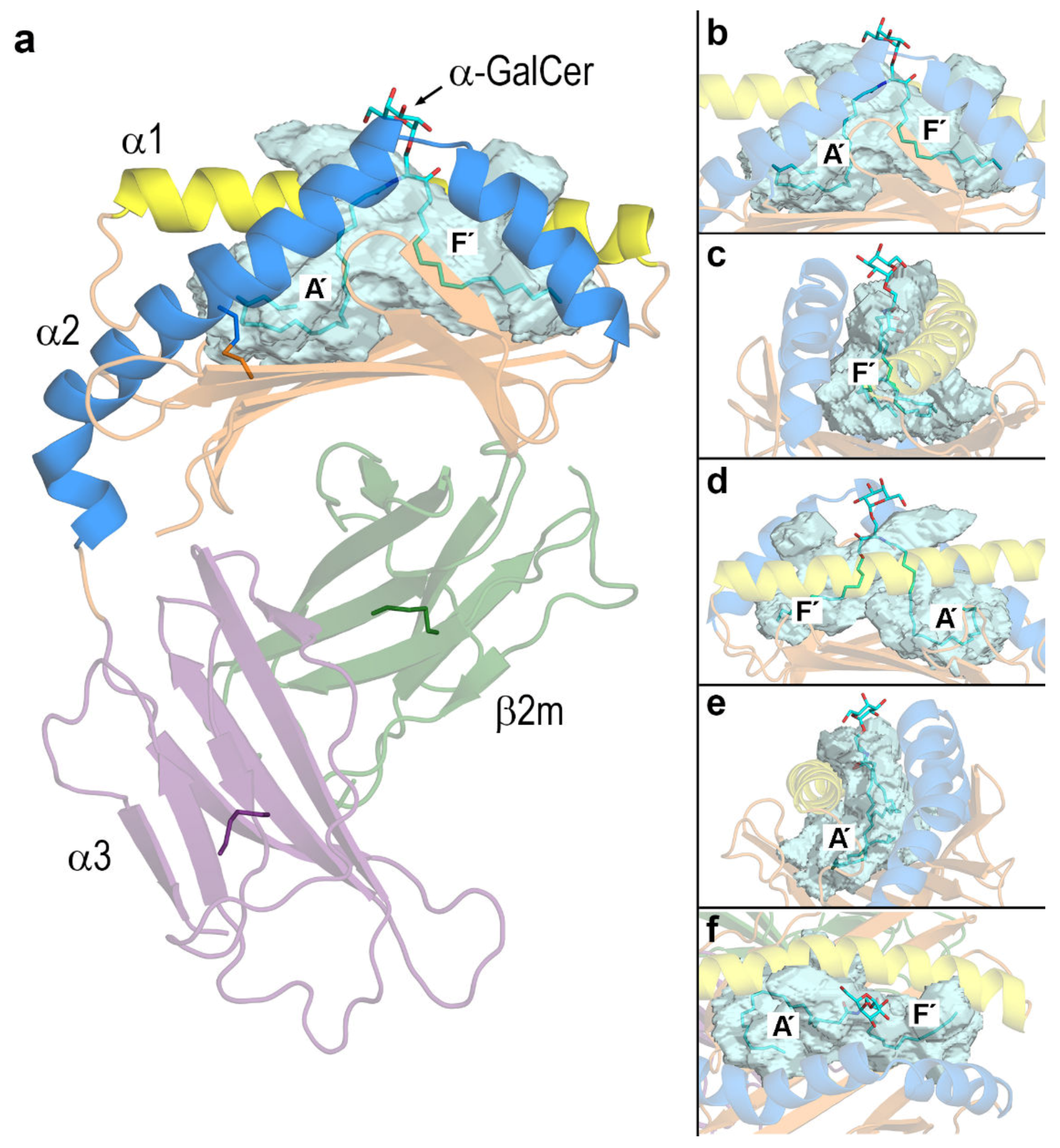 Biomolecules 10 00532 g003 Biomolecules 10 00532 g003