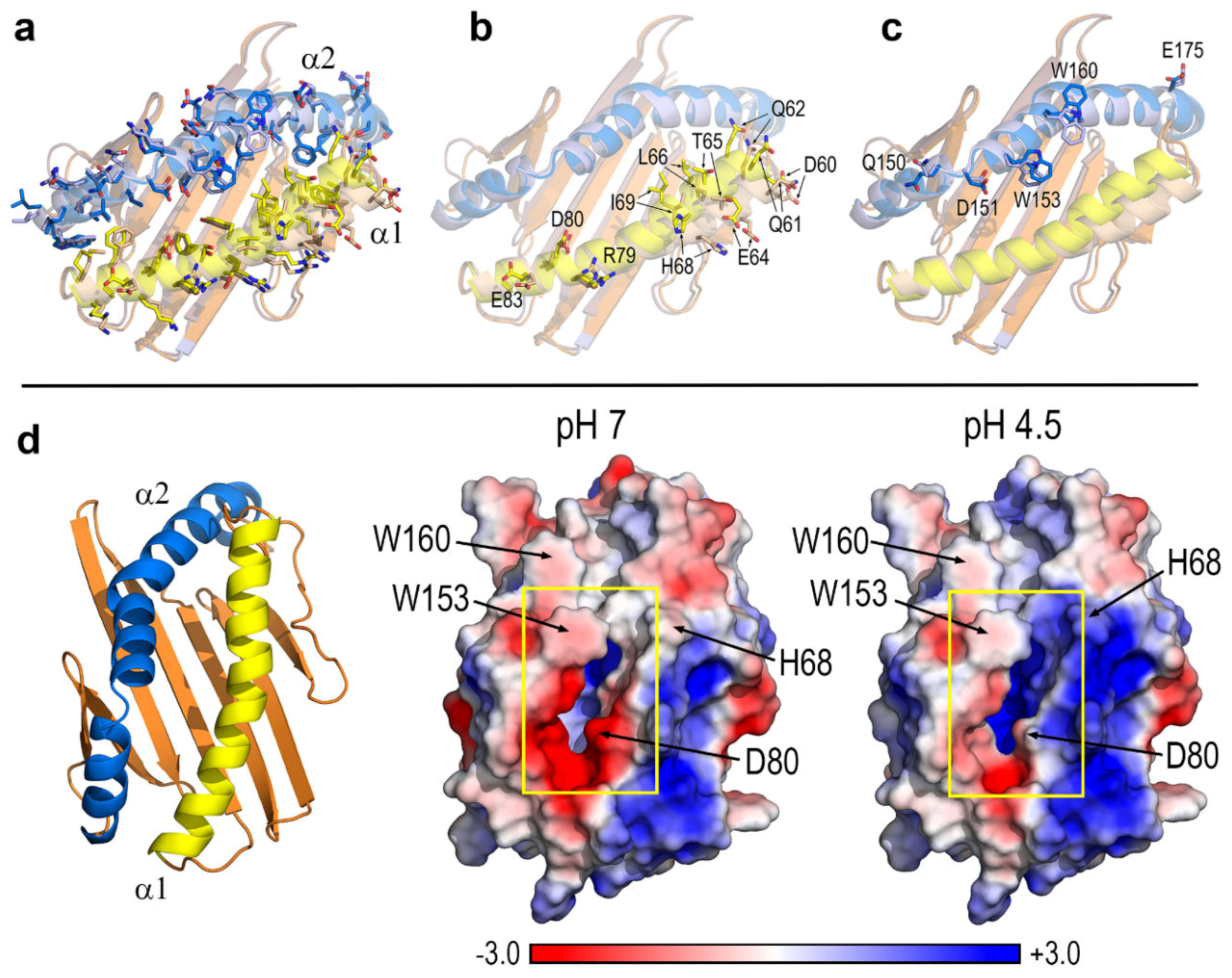 Biomolecules 10 00532 g004 Biomolecules 10 00532 g004