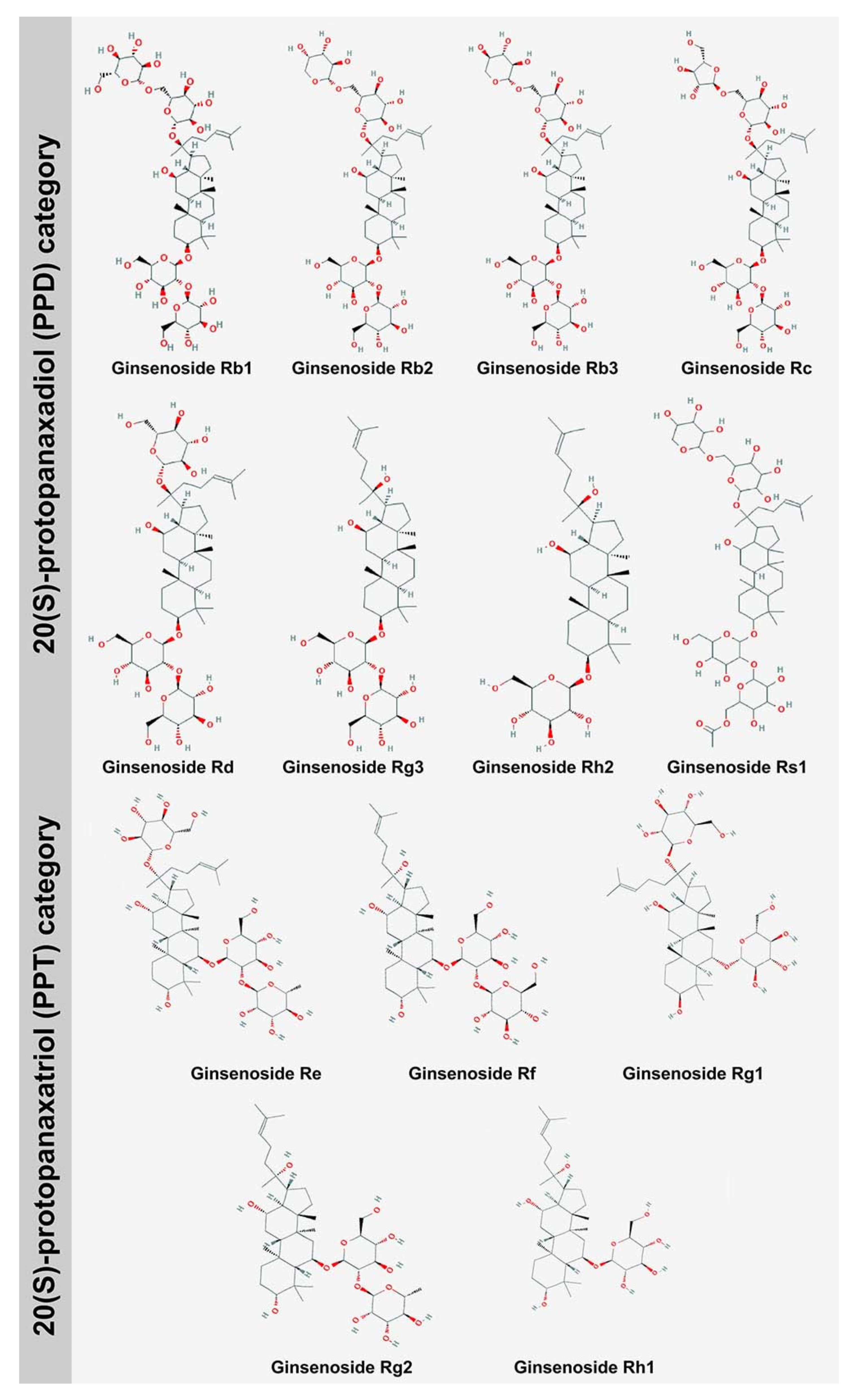 Biomolecules 10 00538 g001