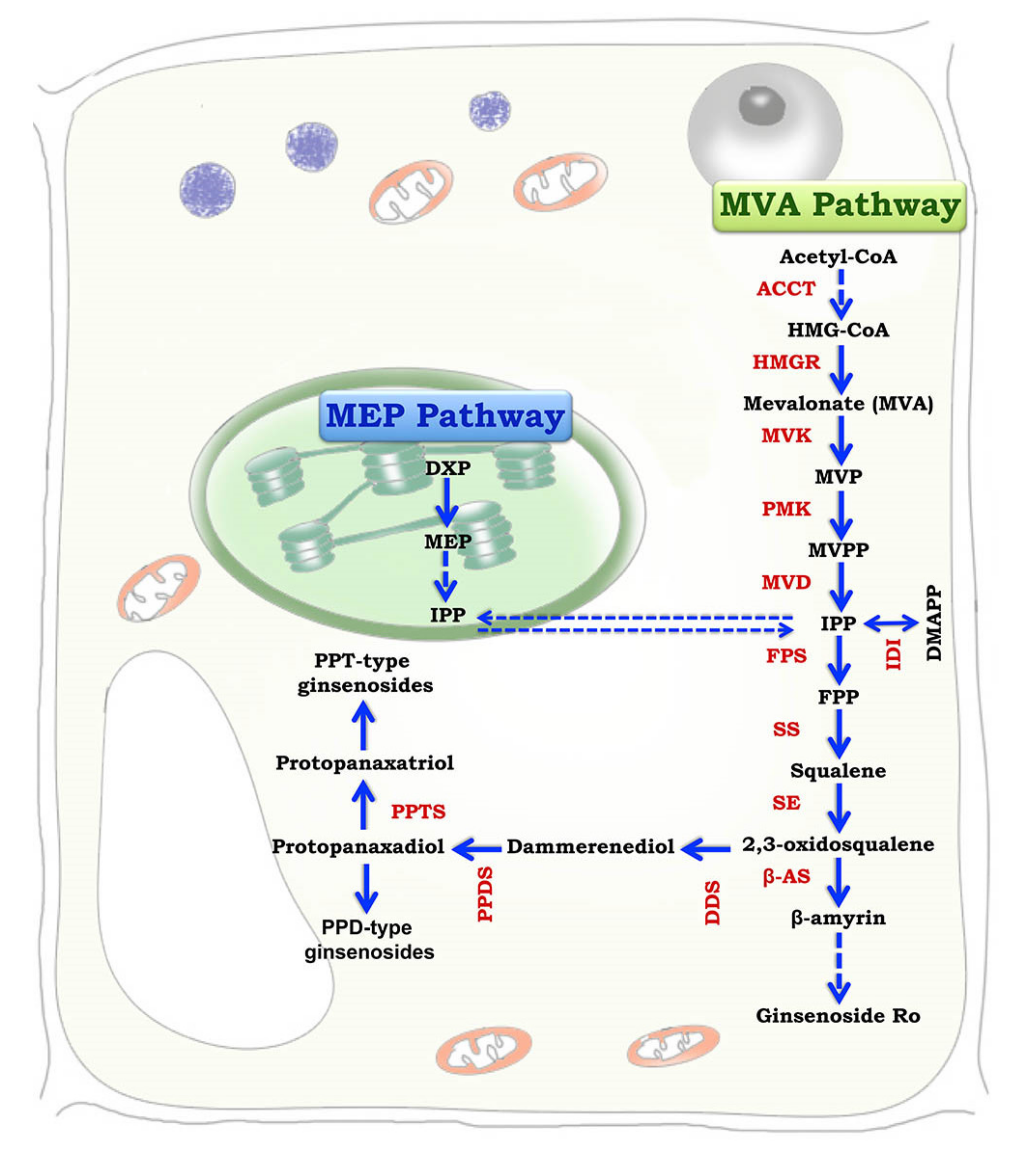Biomolecules 10 00538 g002